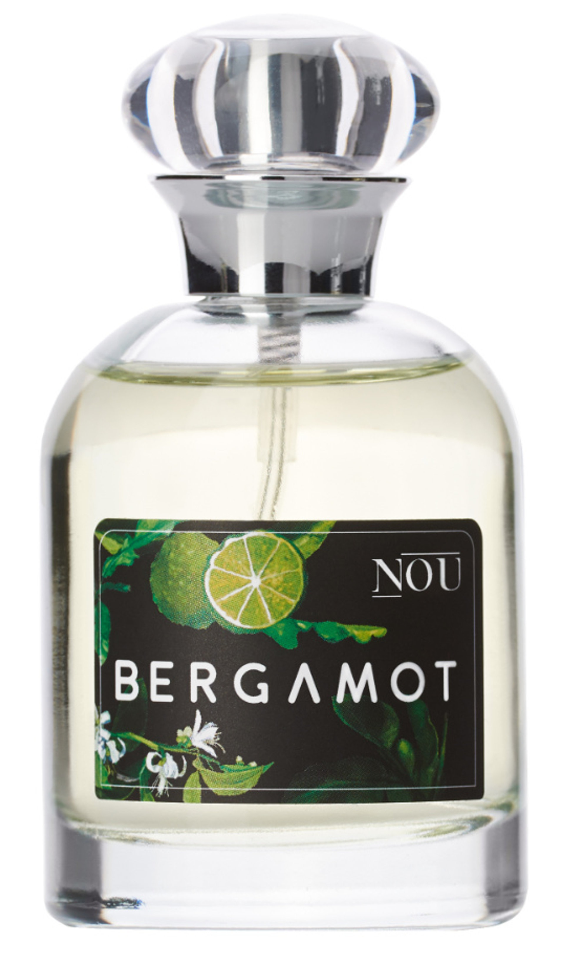 Picture of Bergamot fragrance