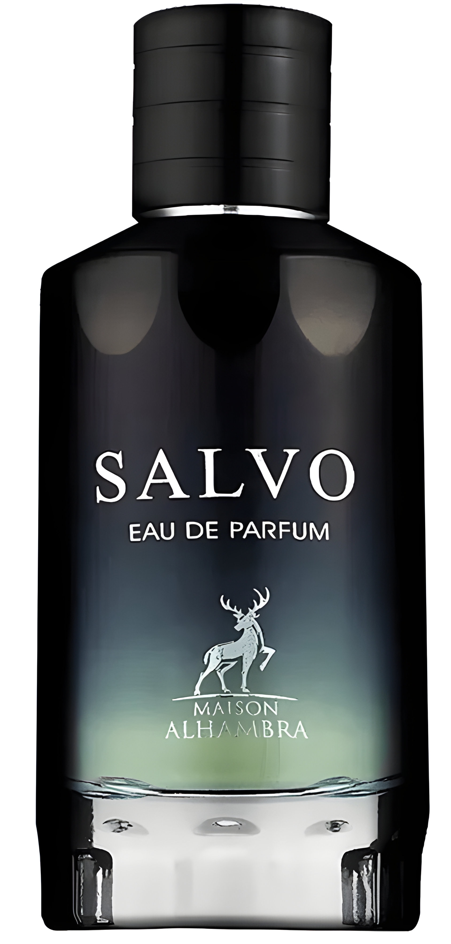 Picture of Salvo fragrance