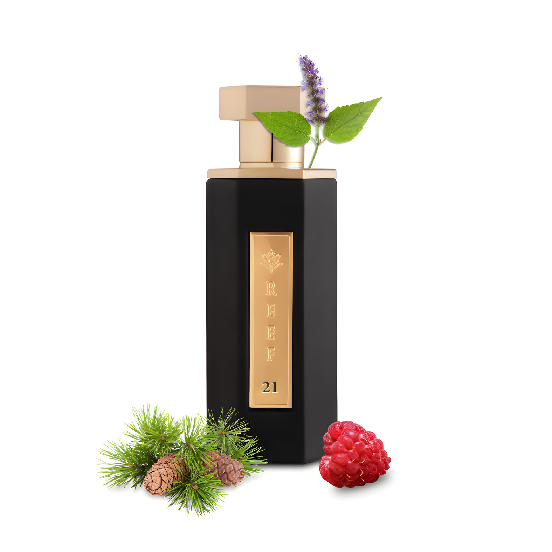 Picture of Reef 21 fragrance