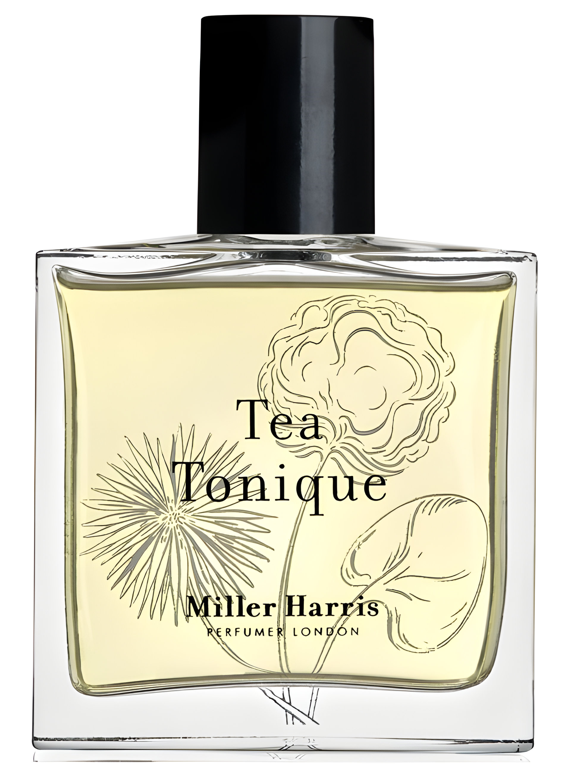 Picture of Tea Tonique fragrance