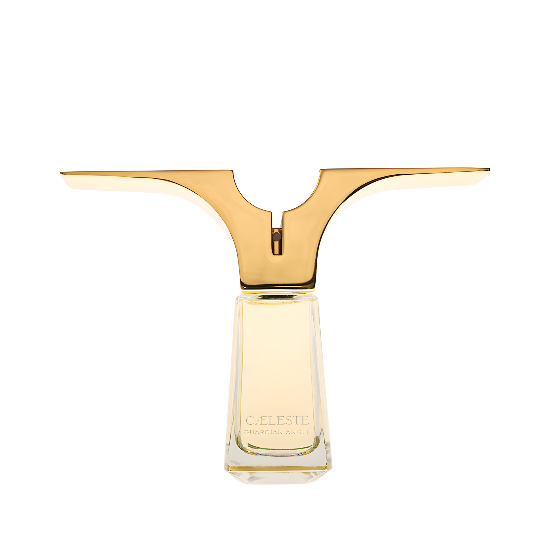 Picture of Guardian Angel fragrance