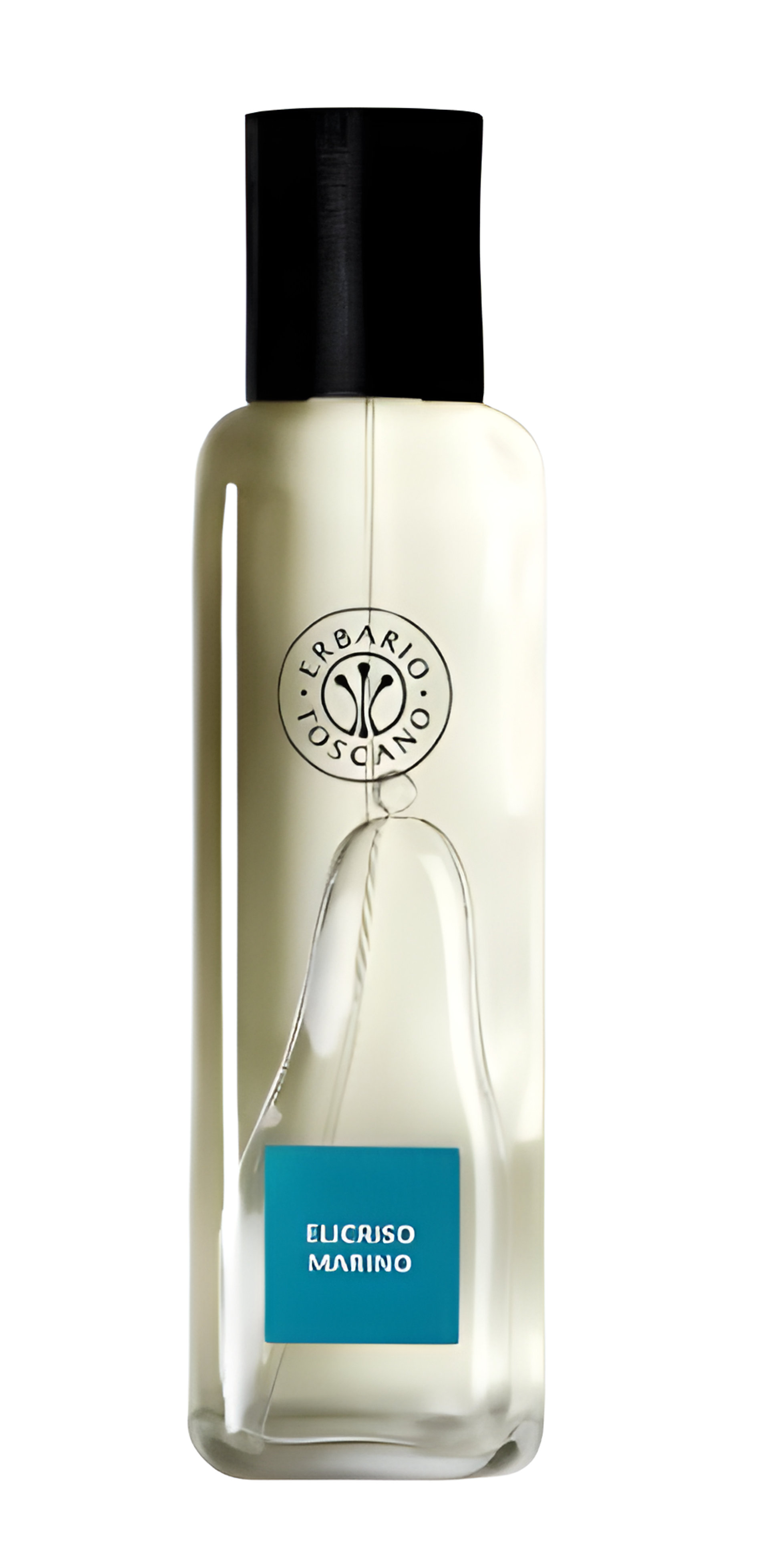 Picture of Elicriso Marino fragrance