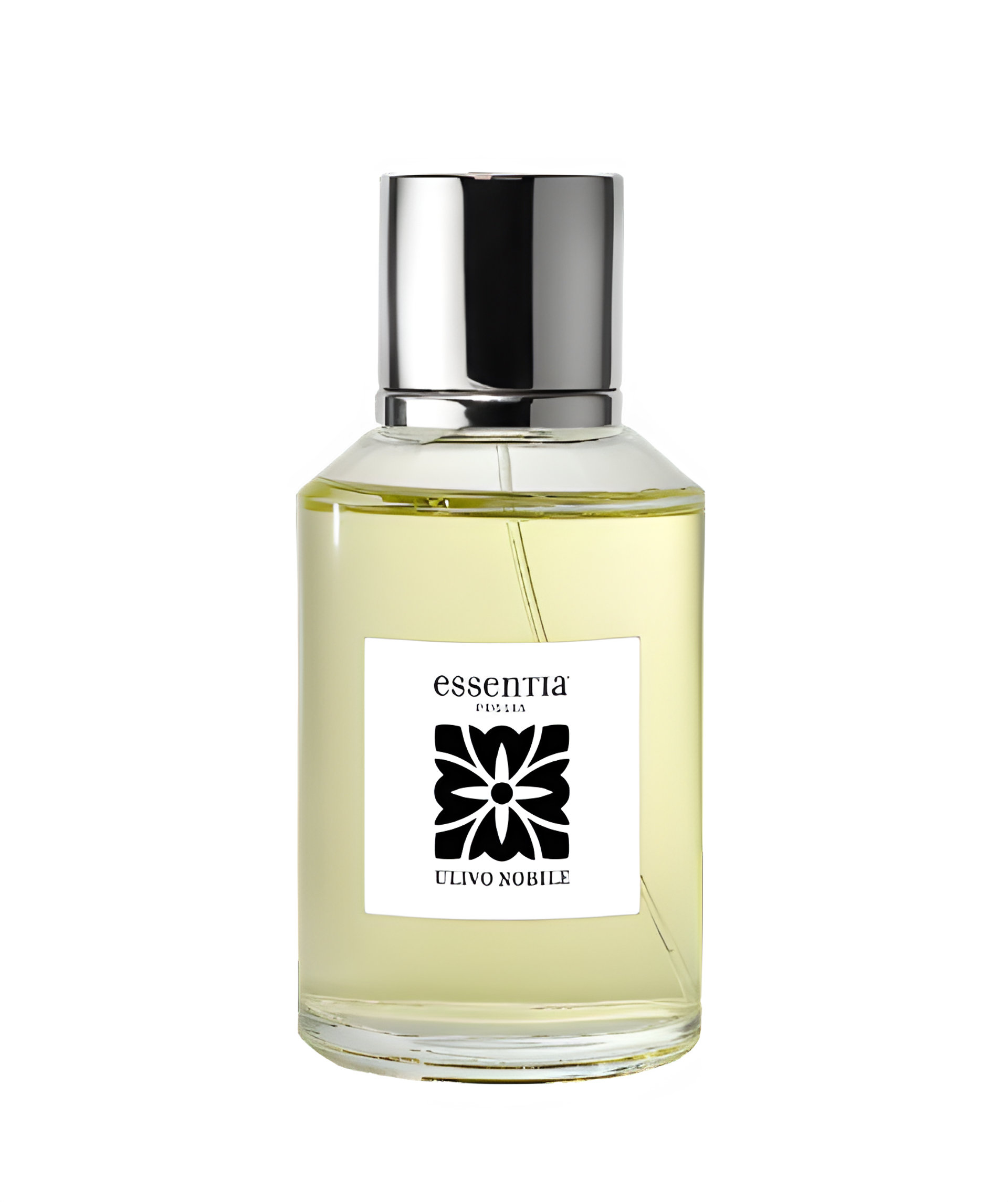 Picture of Ulivo Nobile fragrance