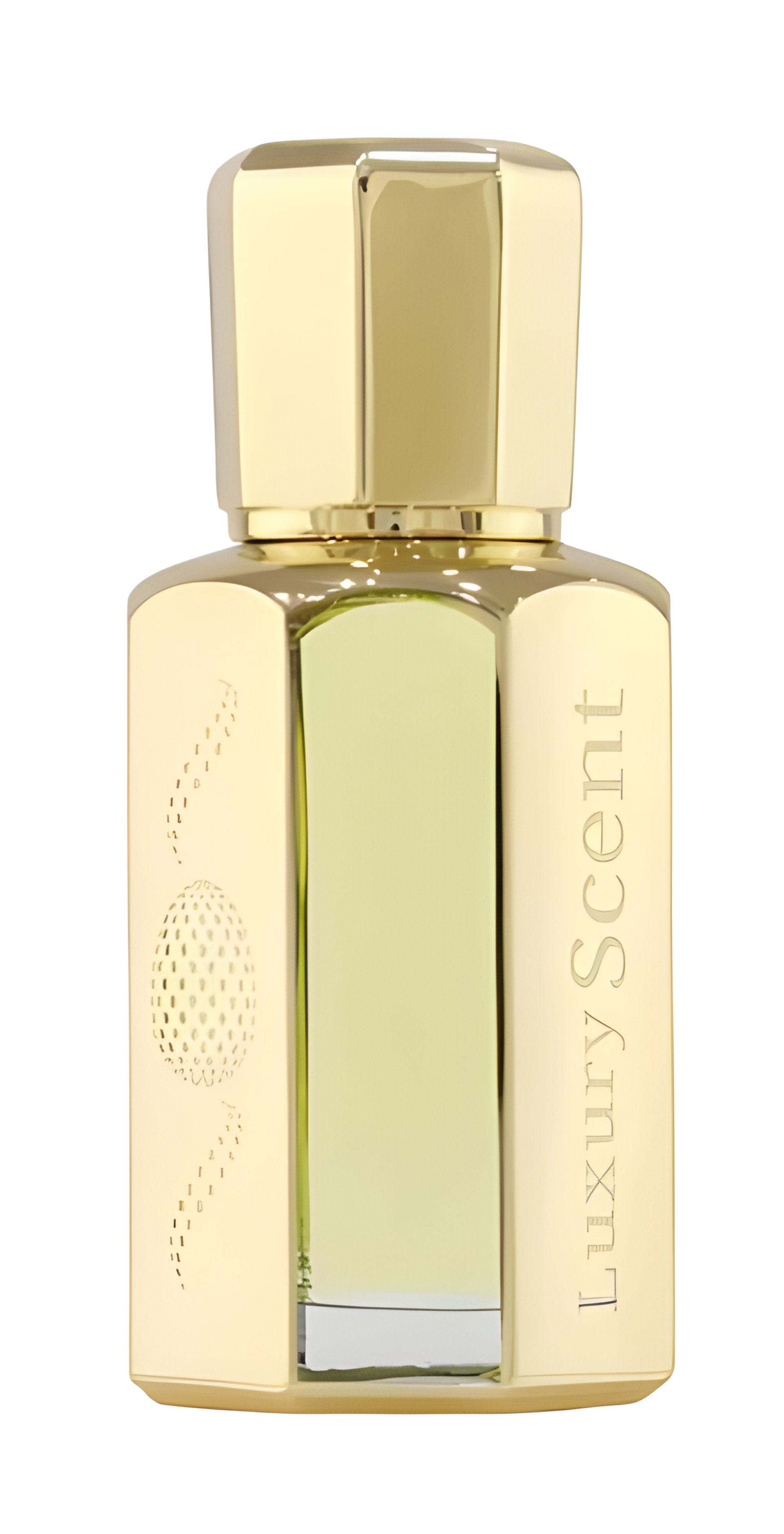 Picture of Elegant Men fragrance