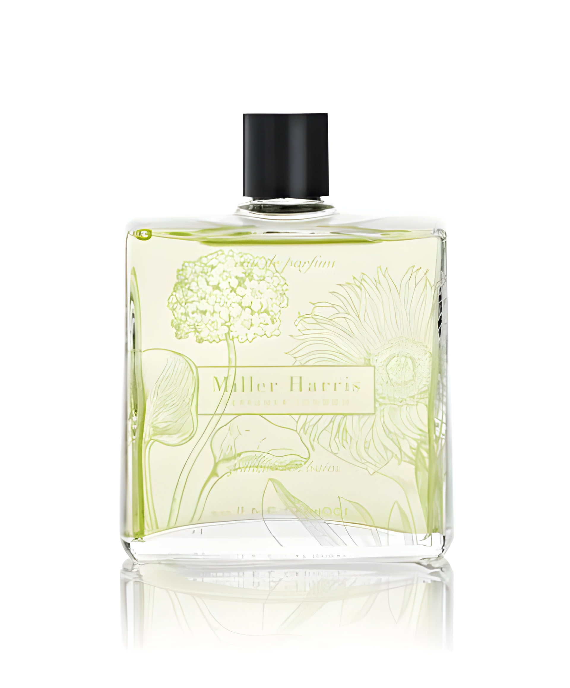 Picture of Piment Des Baies fragrance