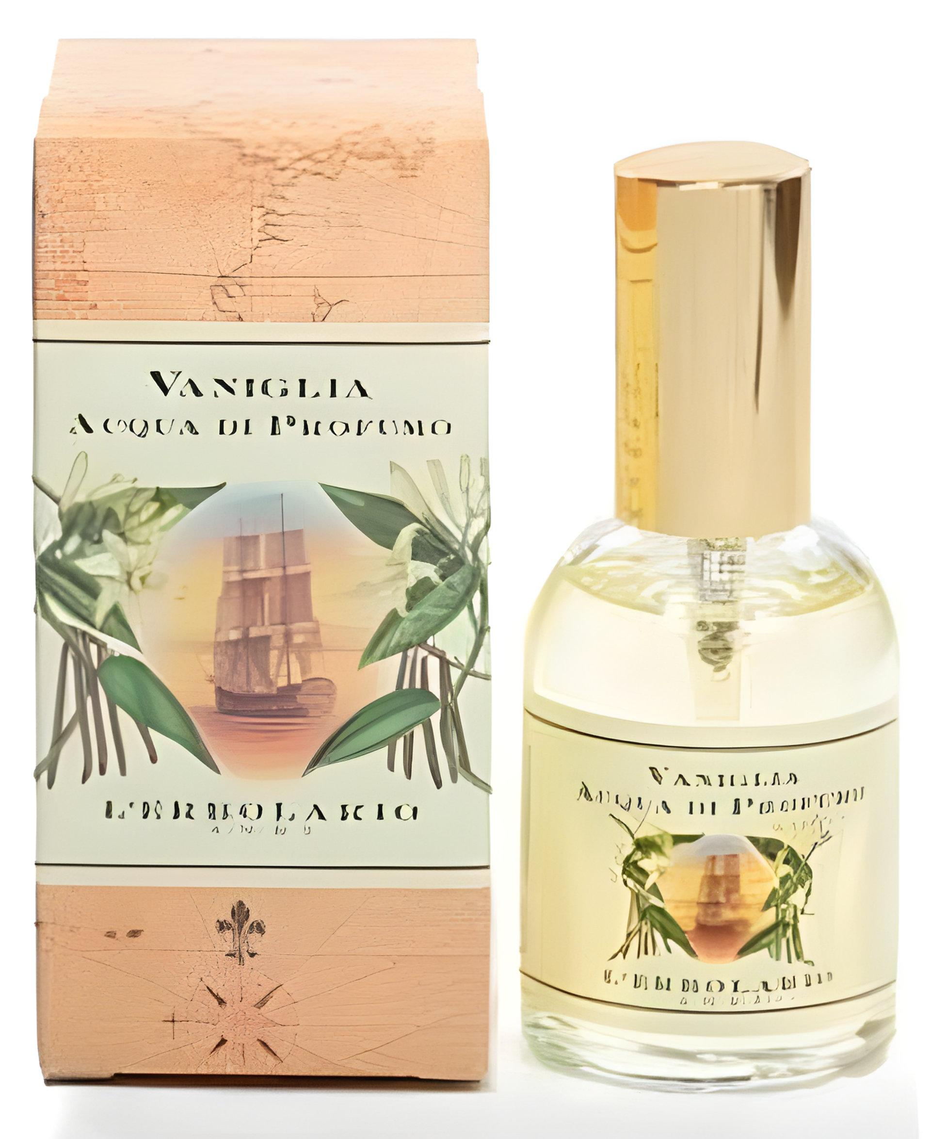 Picture of Vaniglia fragrance
