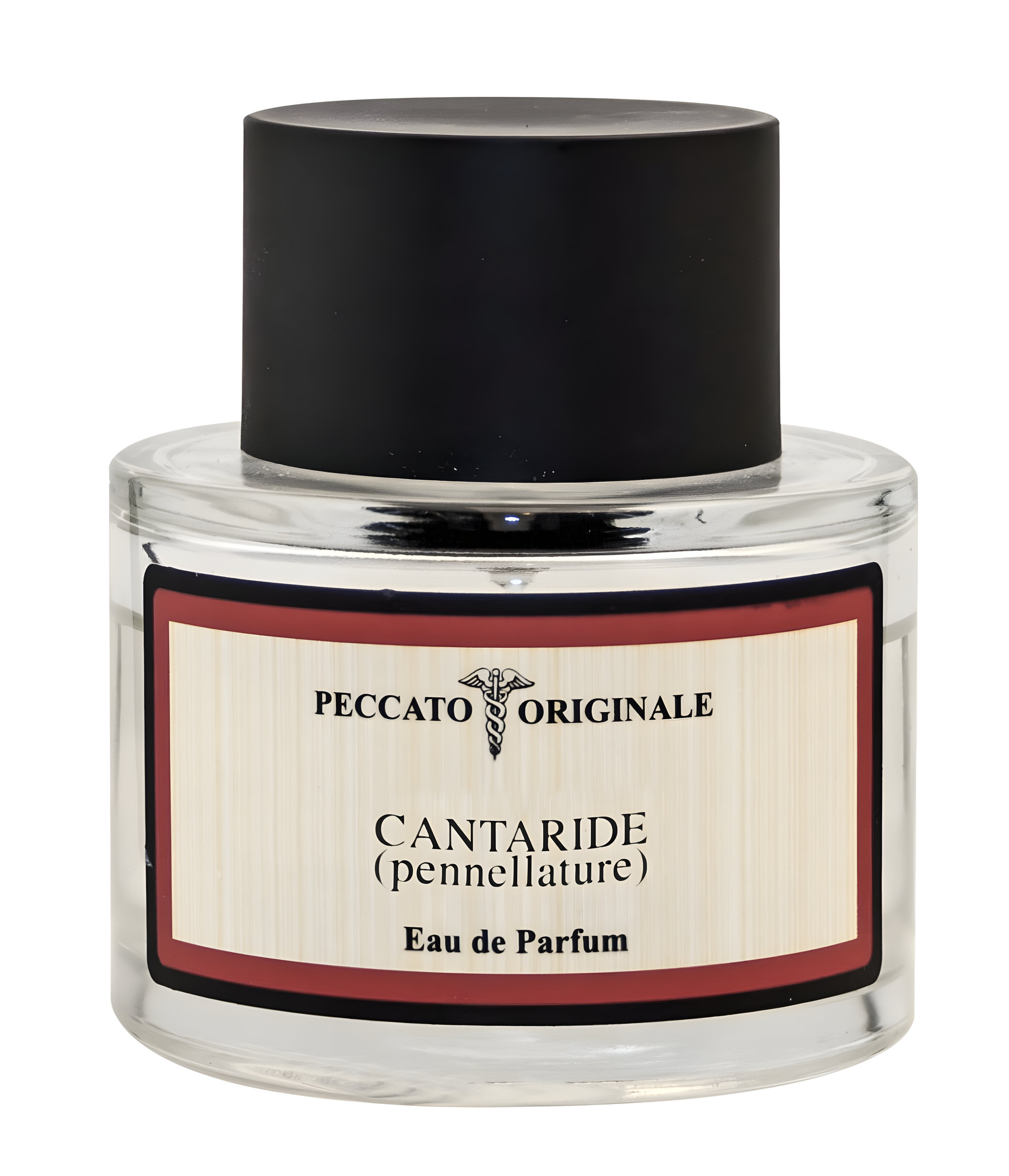 Picture of Cantaride fragrance