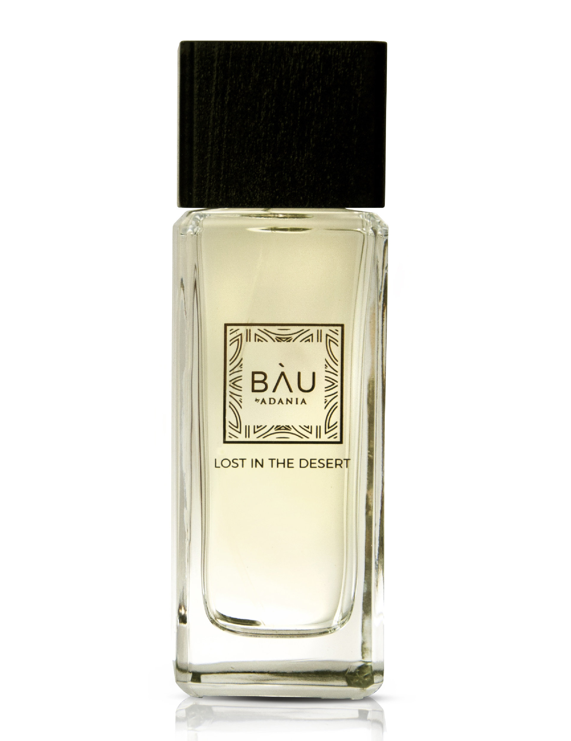 Picture of Lost in the Desert fragrance