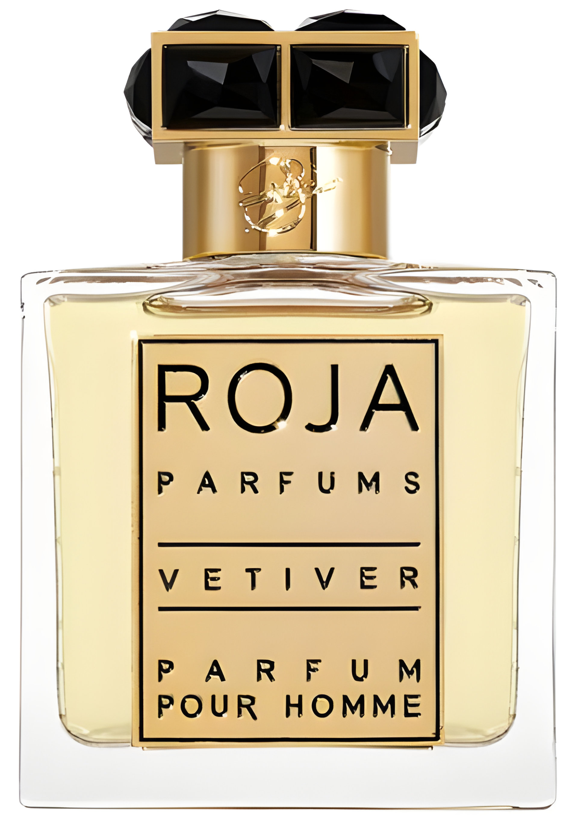 Picture of Vetiver Pour Homme fragrance