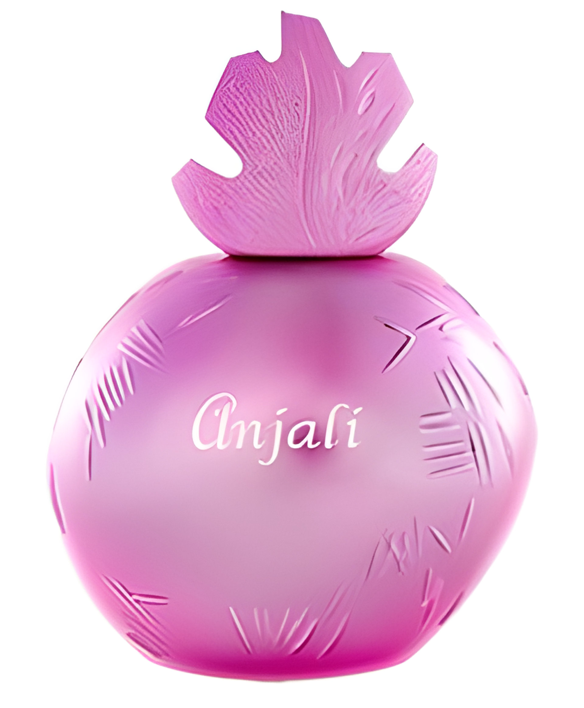 Anjali by Reminiscence