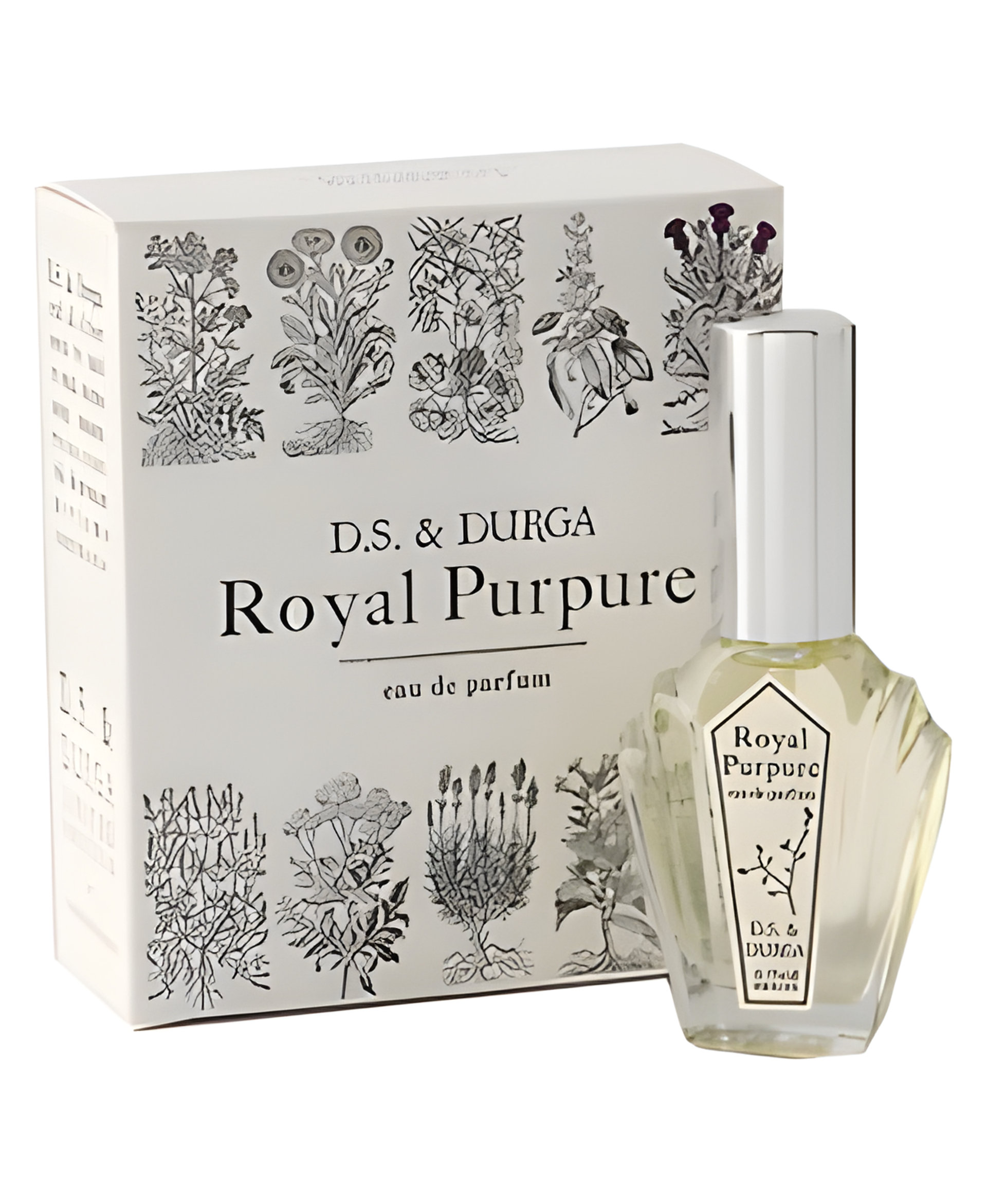 Picture of Royal Purpure fragrance