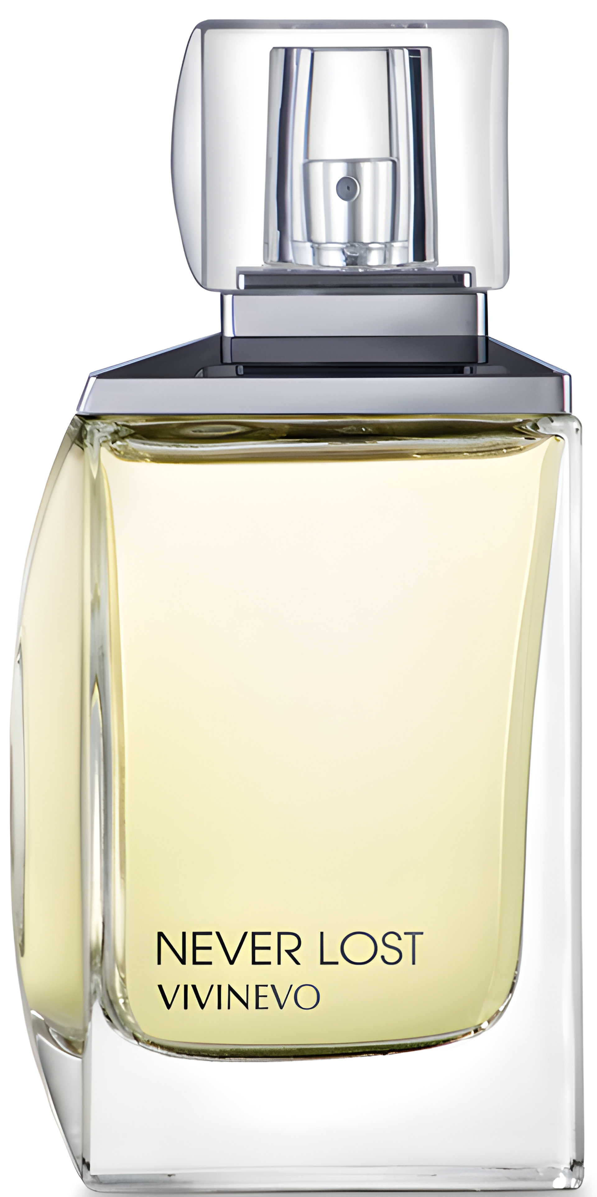 Picture of Never Lost fragrance