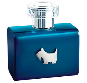 Terrier Blue by Ferrioni perfume bottle
