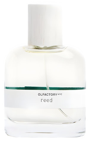 Reed by Olfactory NYC perfume bottle