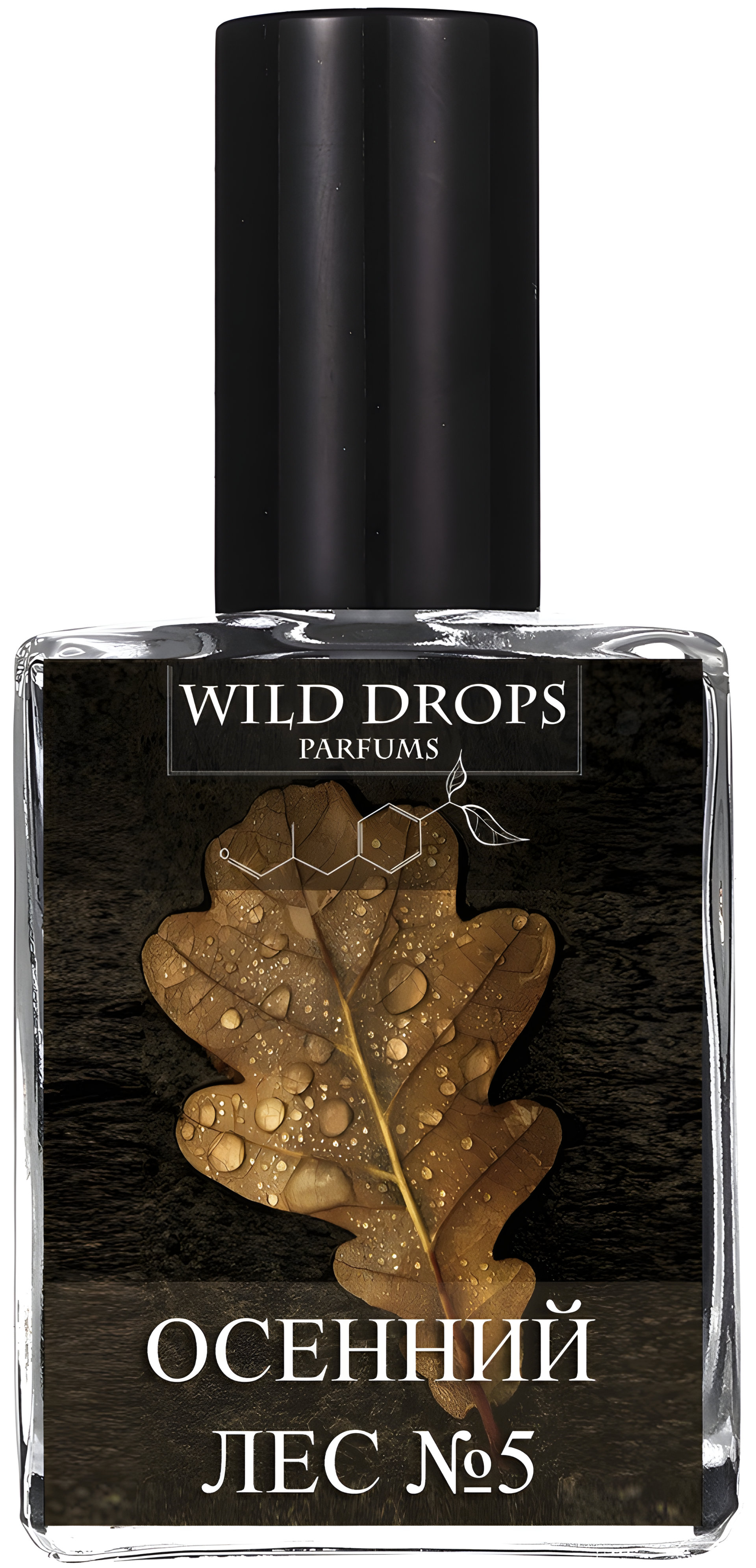Picture of Autumn Forest 5 (Осенний Лес 5) fragrance