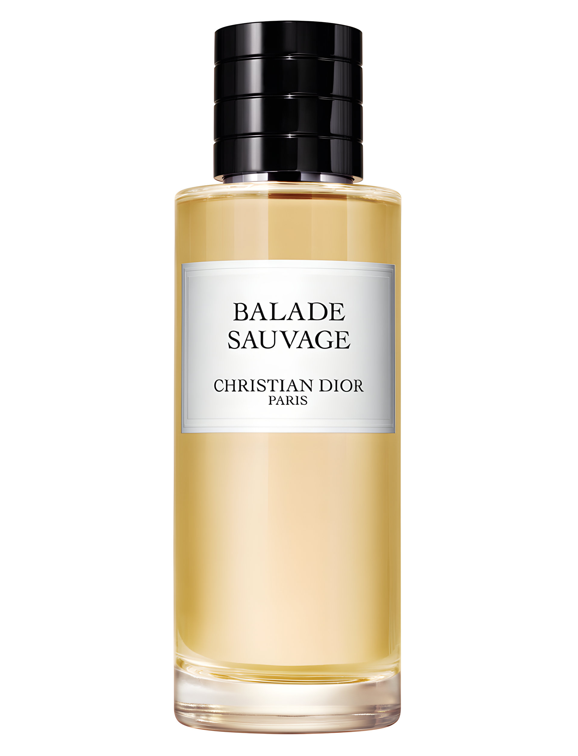Picture of Balade Sauvage fragrance