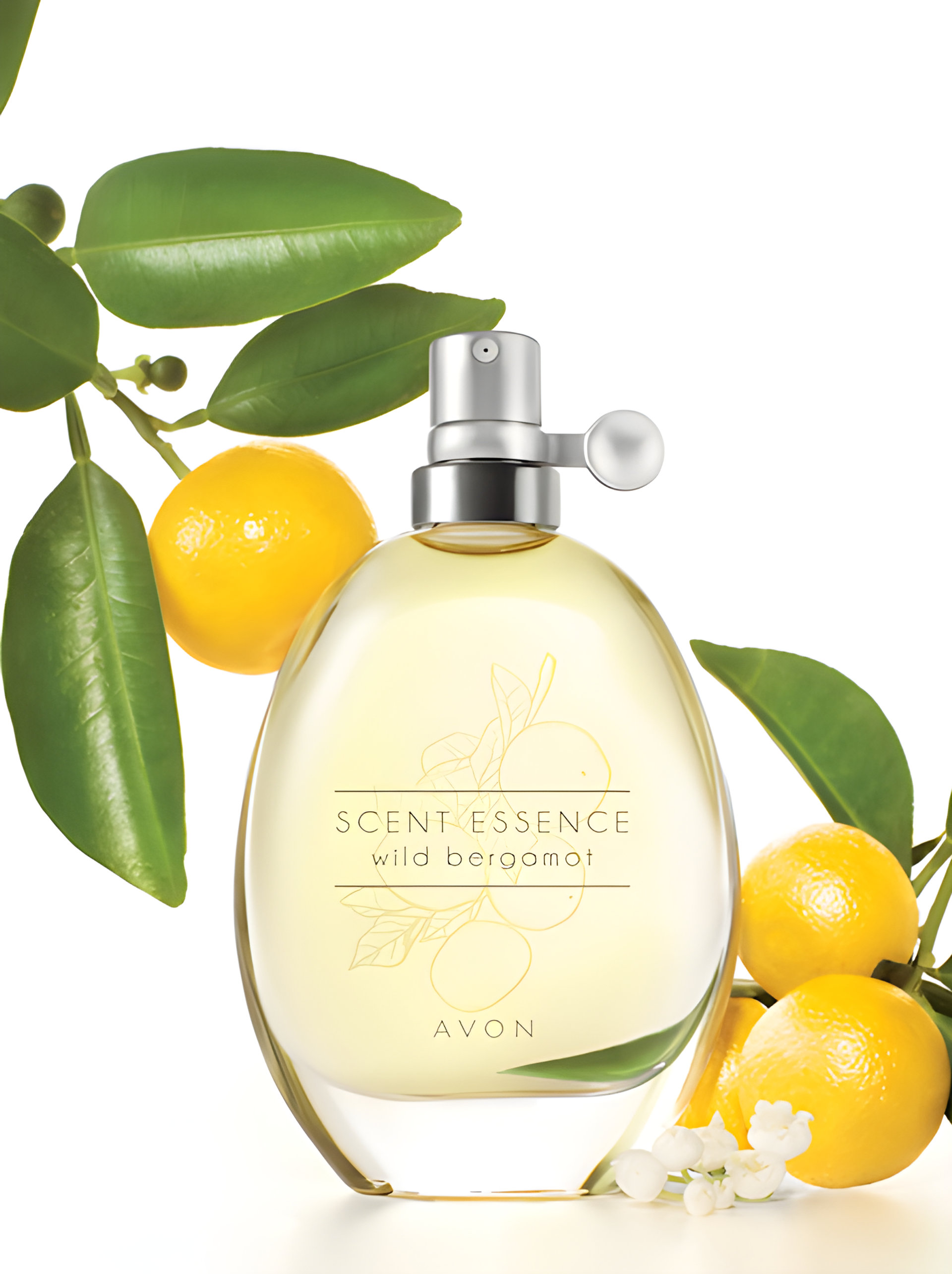 Picture of Scent Essence - Wild Bergamot fragrance