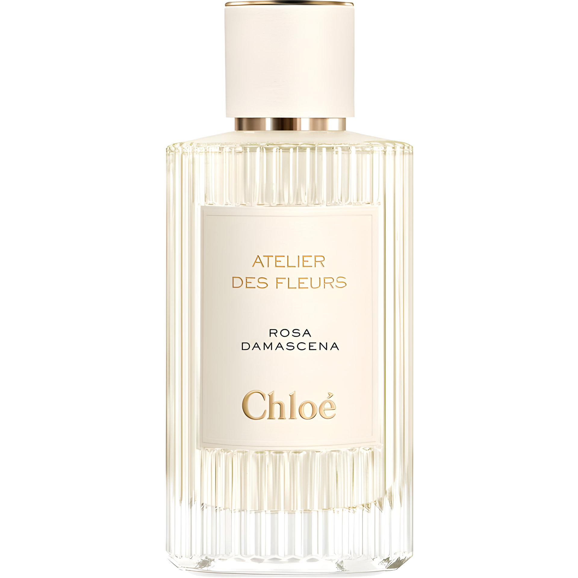 Rosa Damascena by Chloé