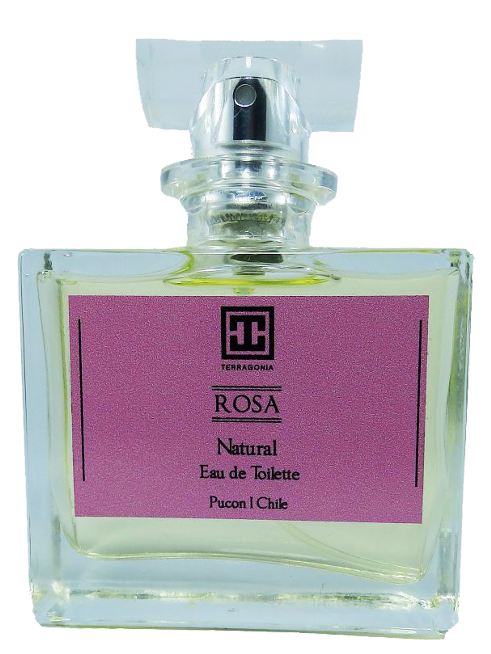 Picture of Rosa fragrance