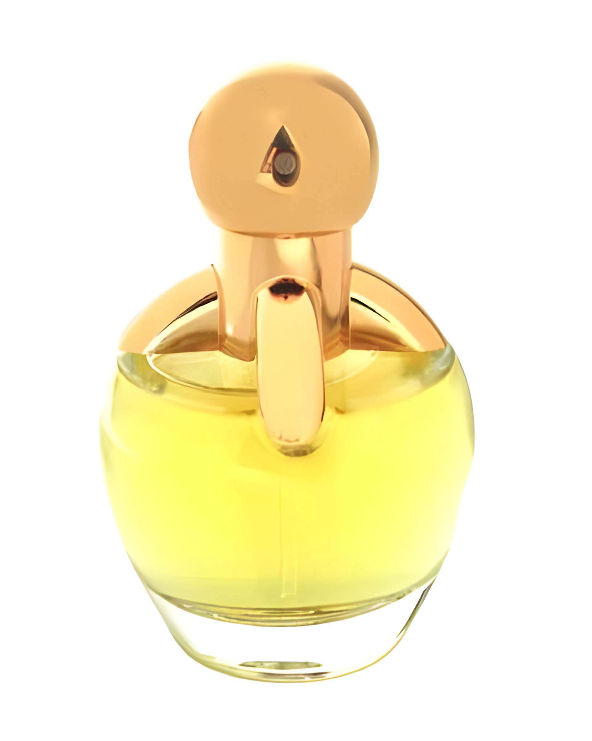 Picture of Secret Intention fragrance