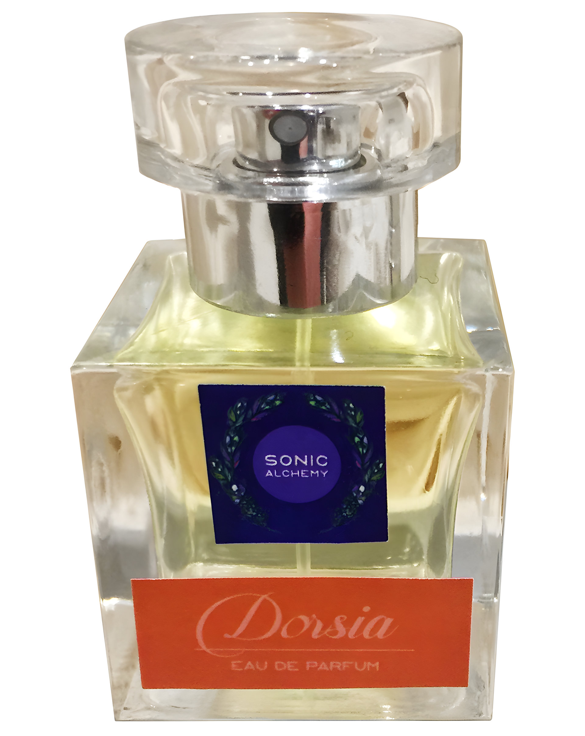 Picture of Dorsia fragrance