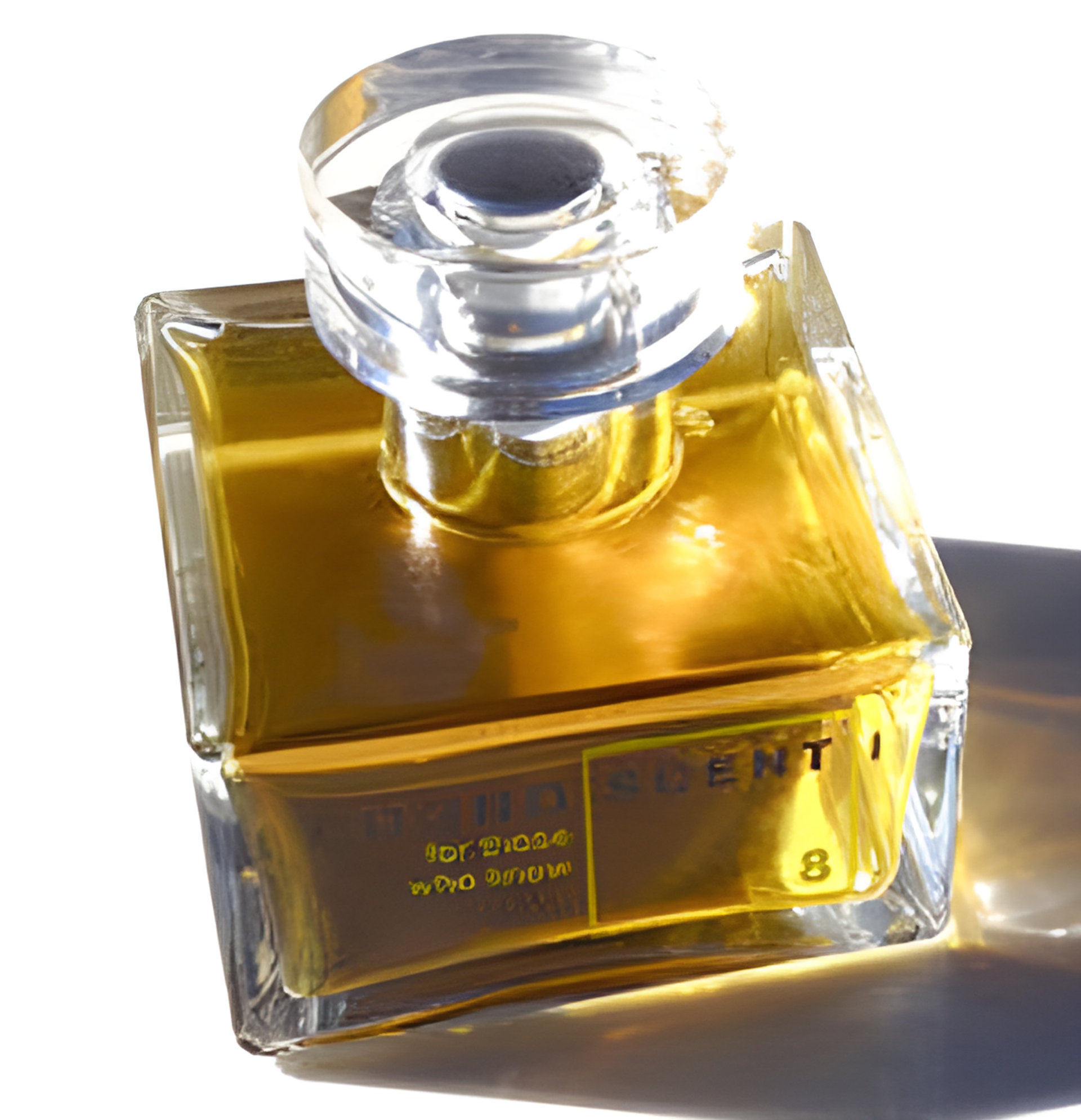 Picture of No 8 Aldehydic Oakmoss fragrance