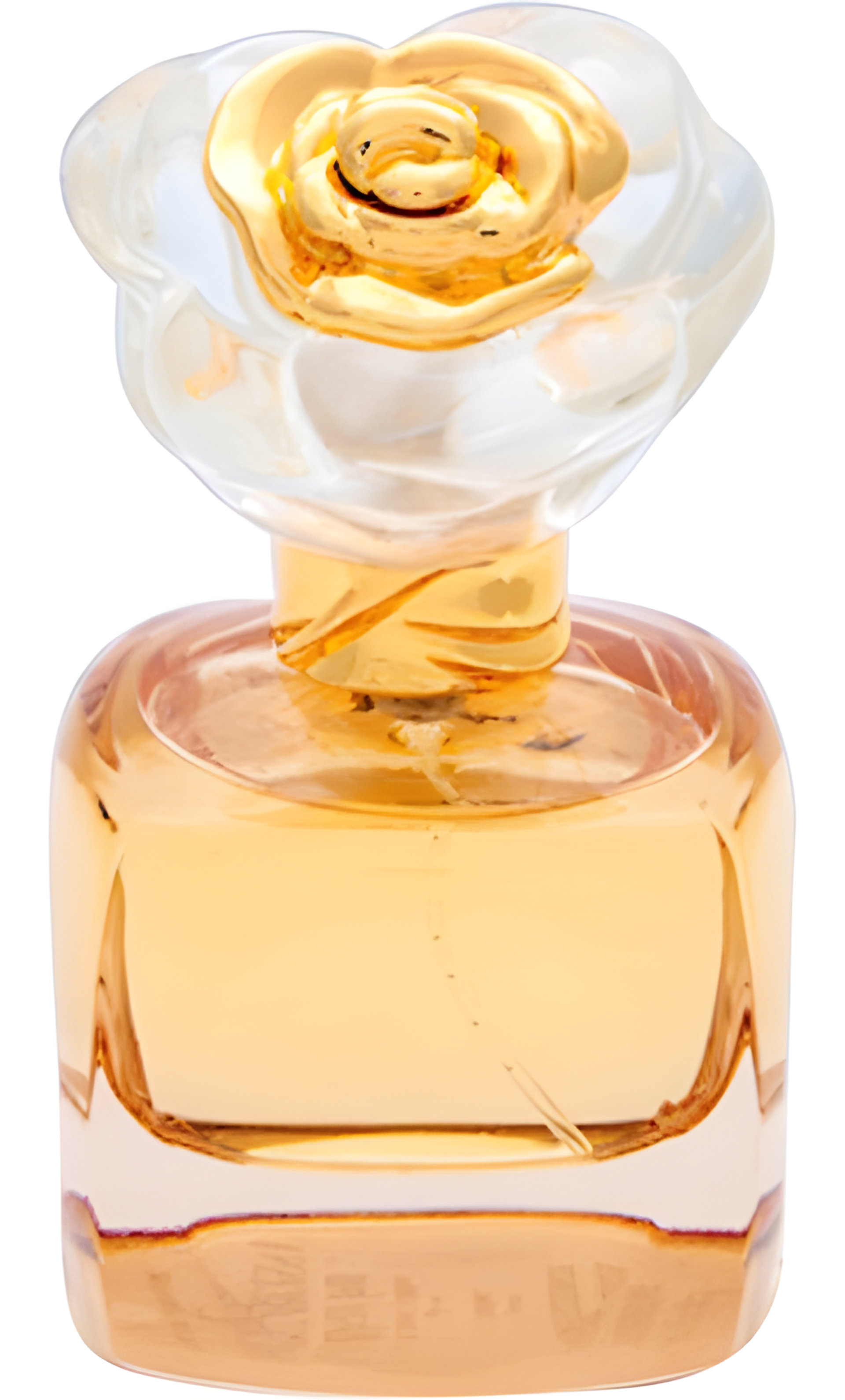 Picture of Spontaneous Confidence fragrance