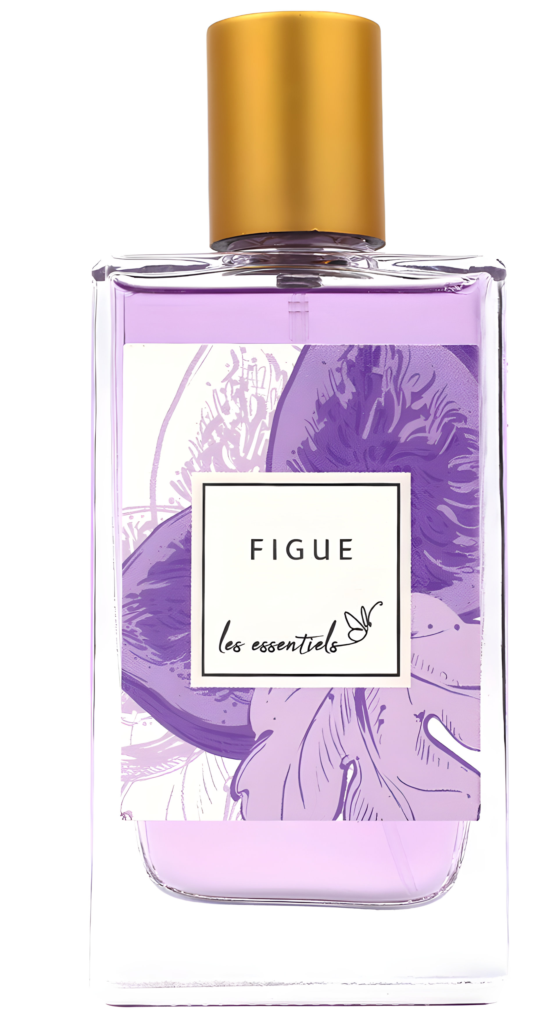 Picture of Figue fragrance