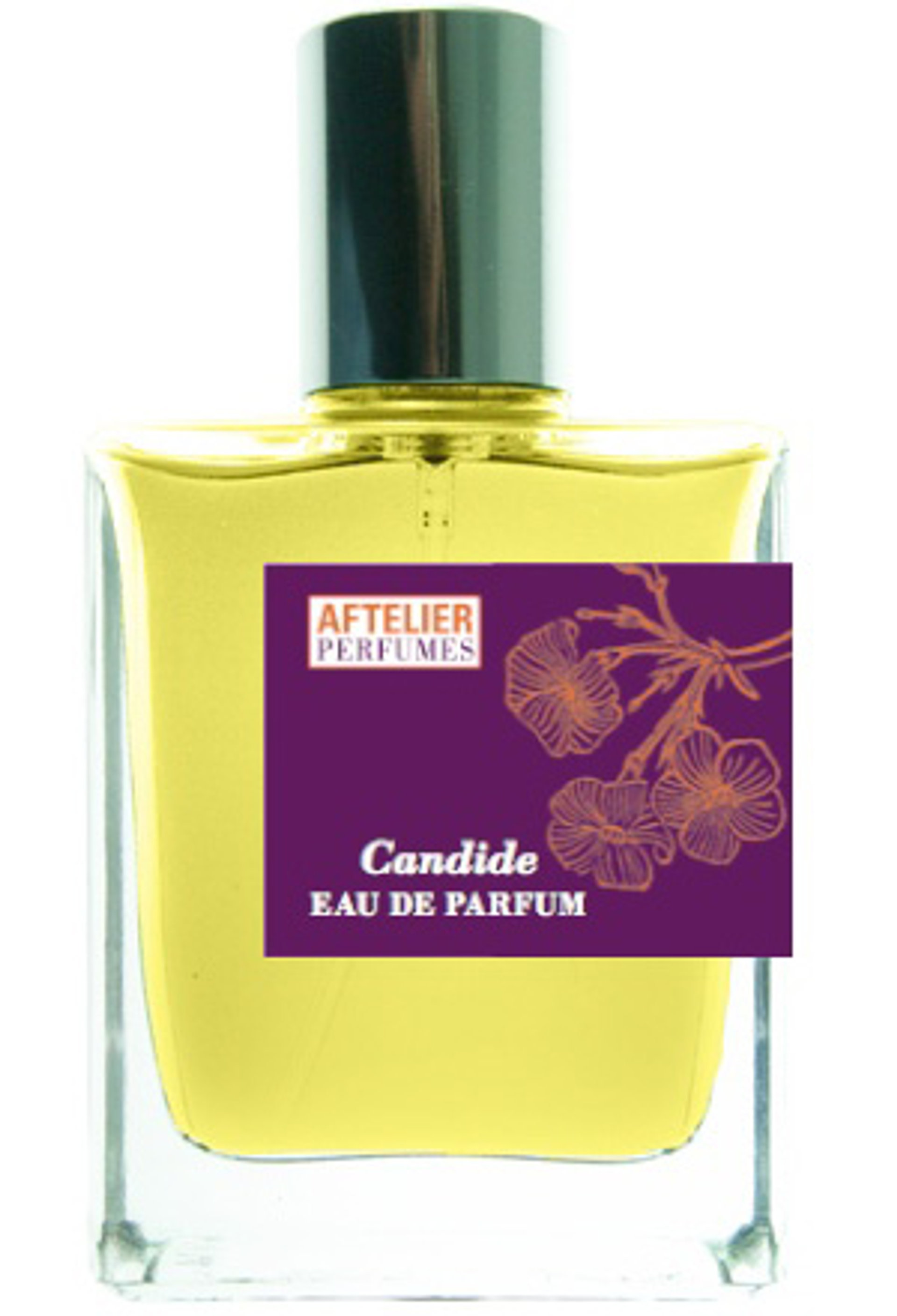 Picture of Candide fragrance