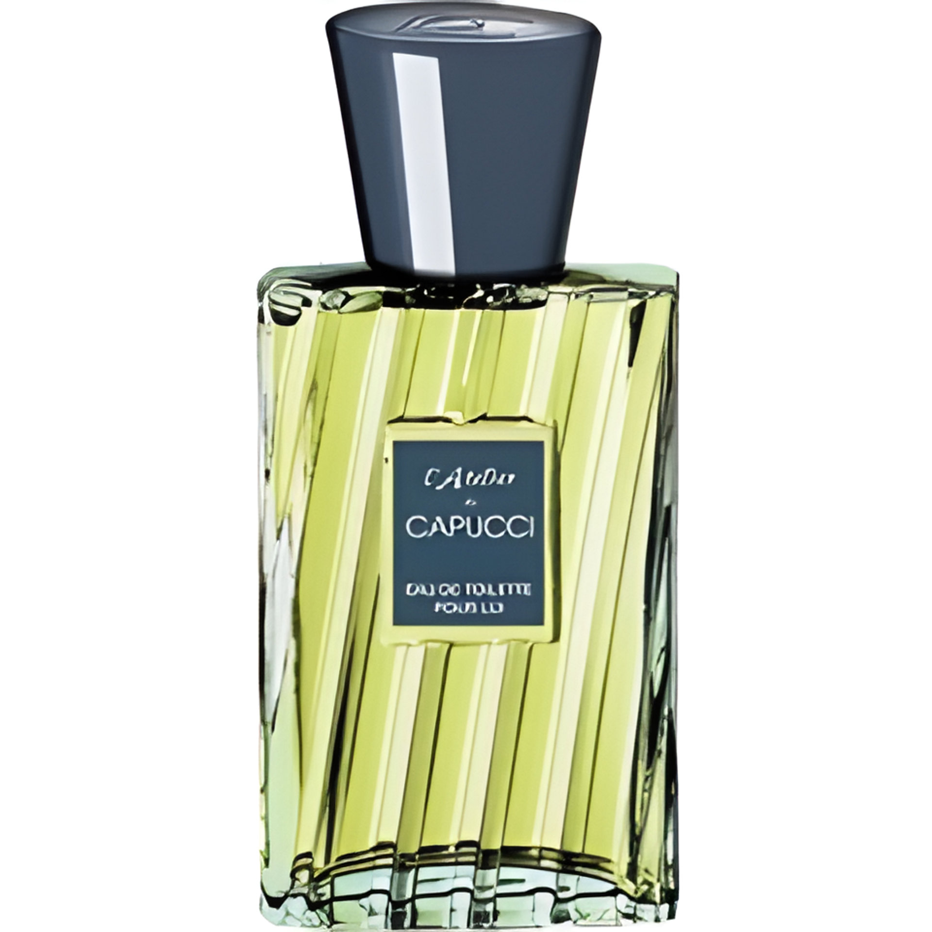 Picture of L'Atelier de Capucci Pour Lui fragrance