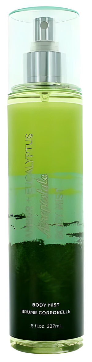 Amber Eucalyptus by Aéropostale perfume bottle