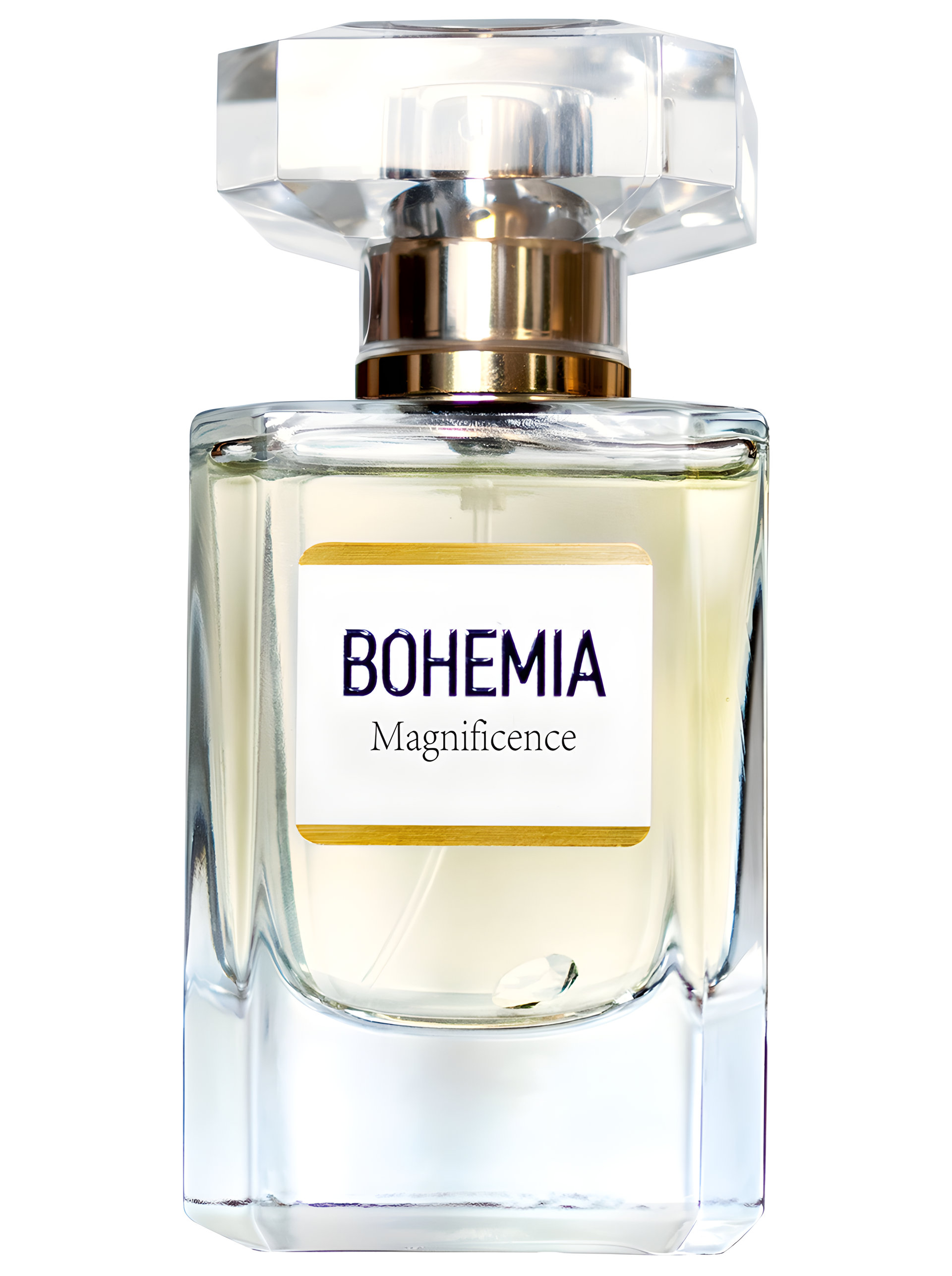 Picture of Bohemia Magnificence fragrance