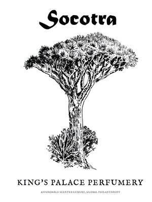 Socotra by King's Palace Perfumery perfume bottle