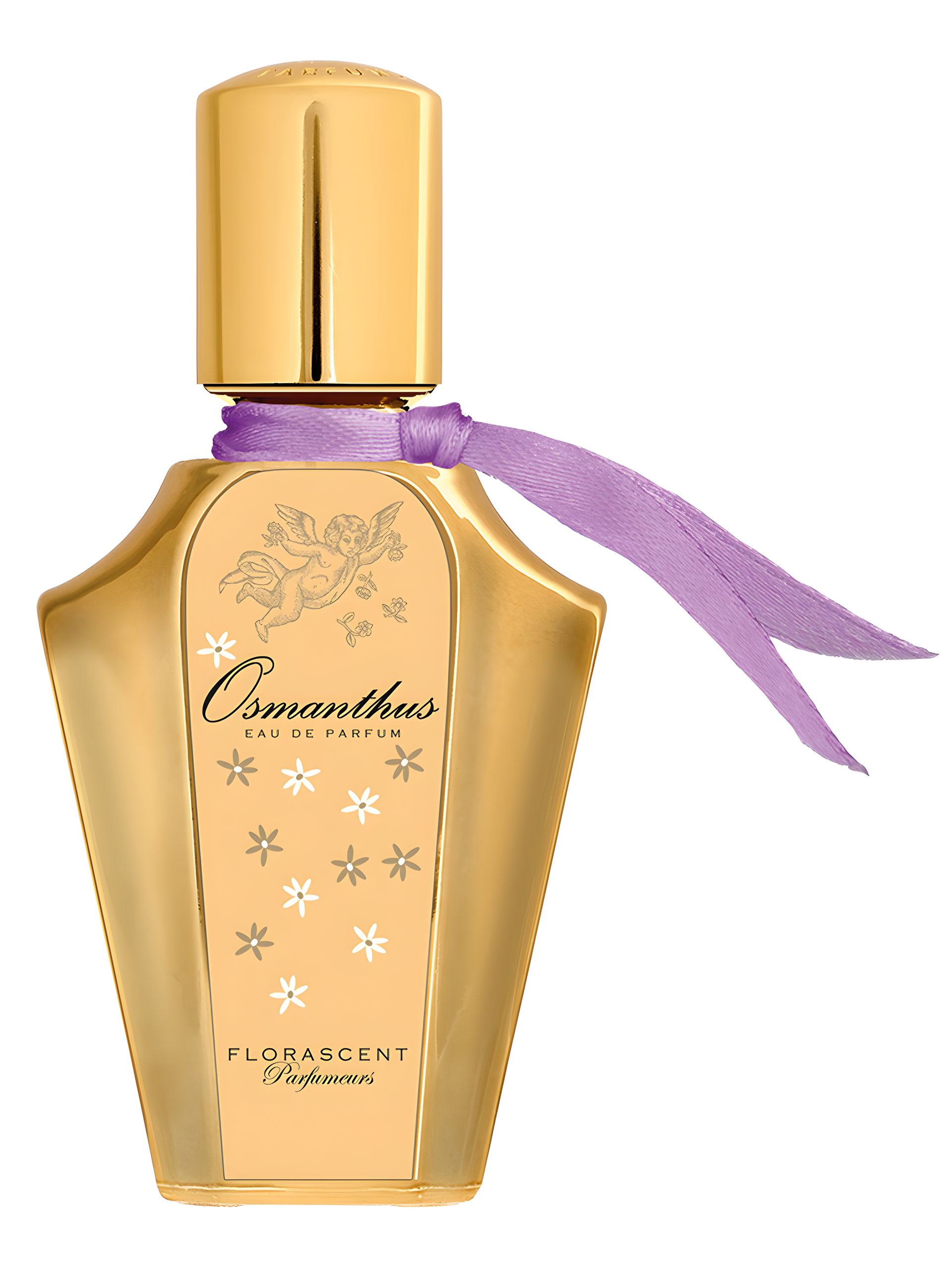 Picture of Osmanthus fragrance