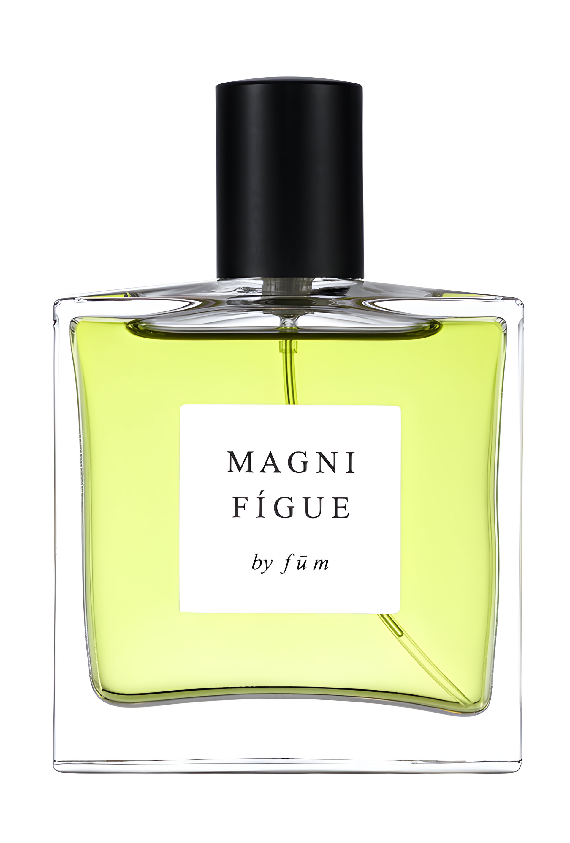Picture of Magnifígue fragrance