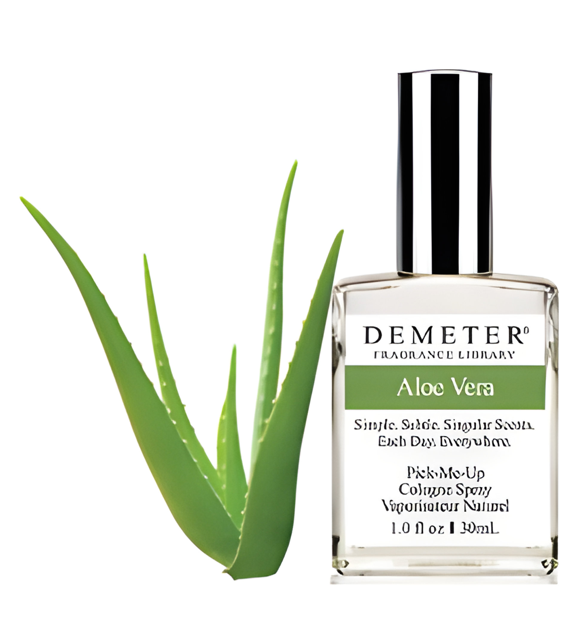 Picture of Aloe Vera fragrance