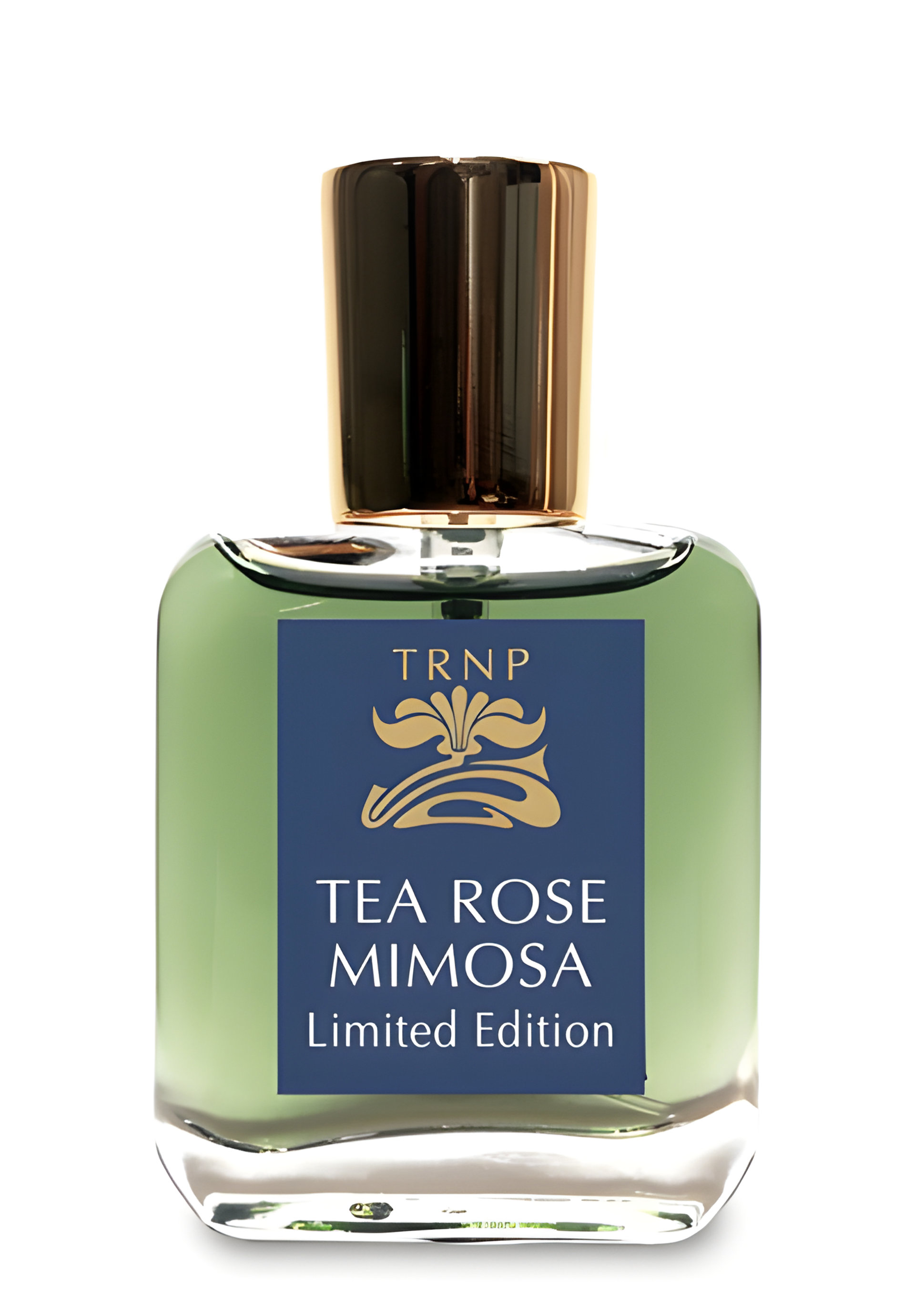 Tea Rose Mimosa - Limited Edition by TRNP