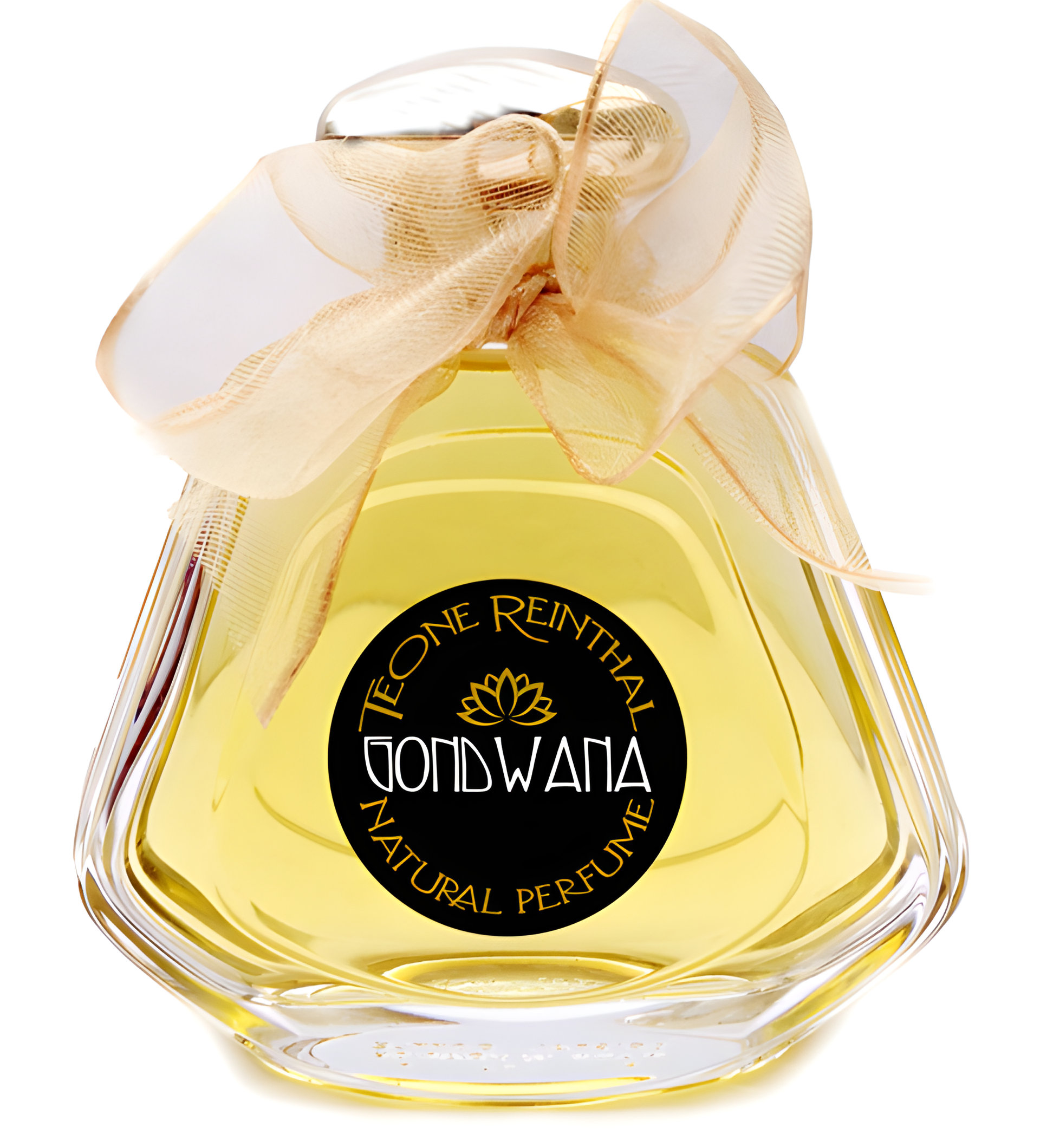 Picture of Gondwana fragrance