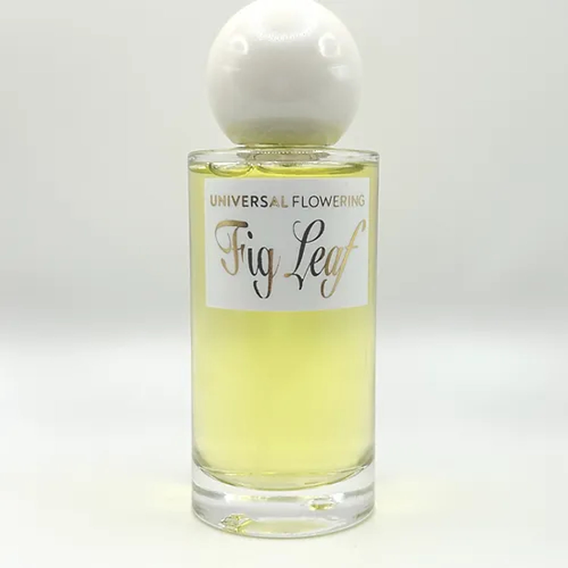 Picture of Fig Leaf fragrance