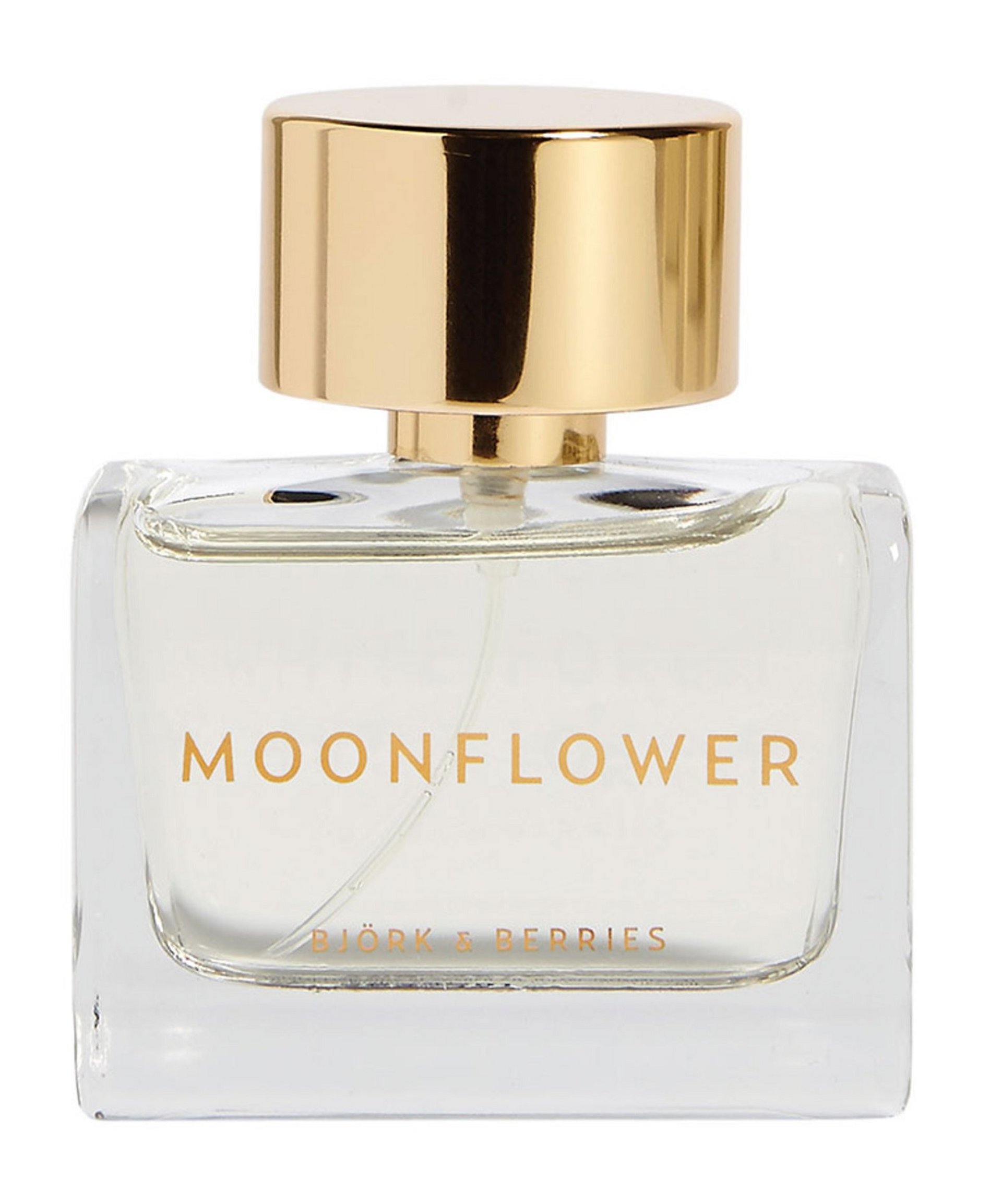 Picture of Moonflower fragrance