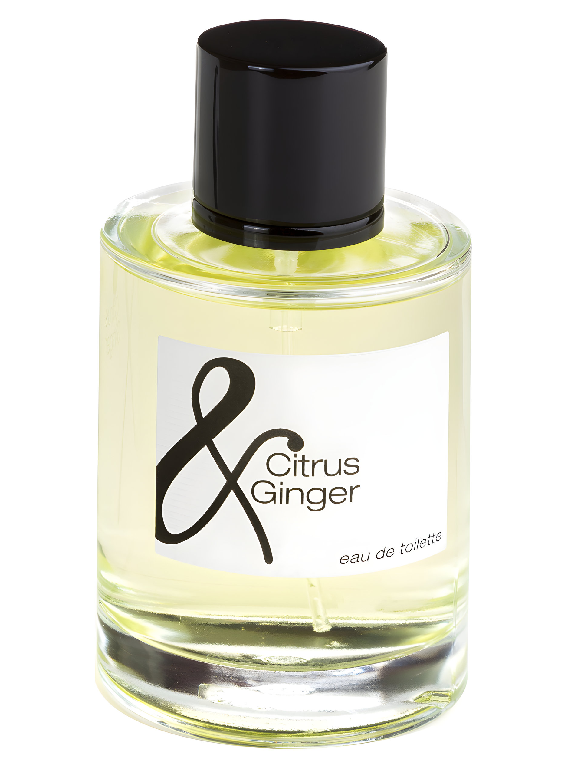 Picture of Citrus & Ginger fragrance