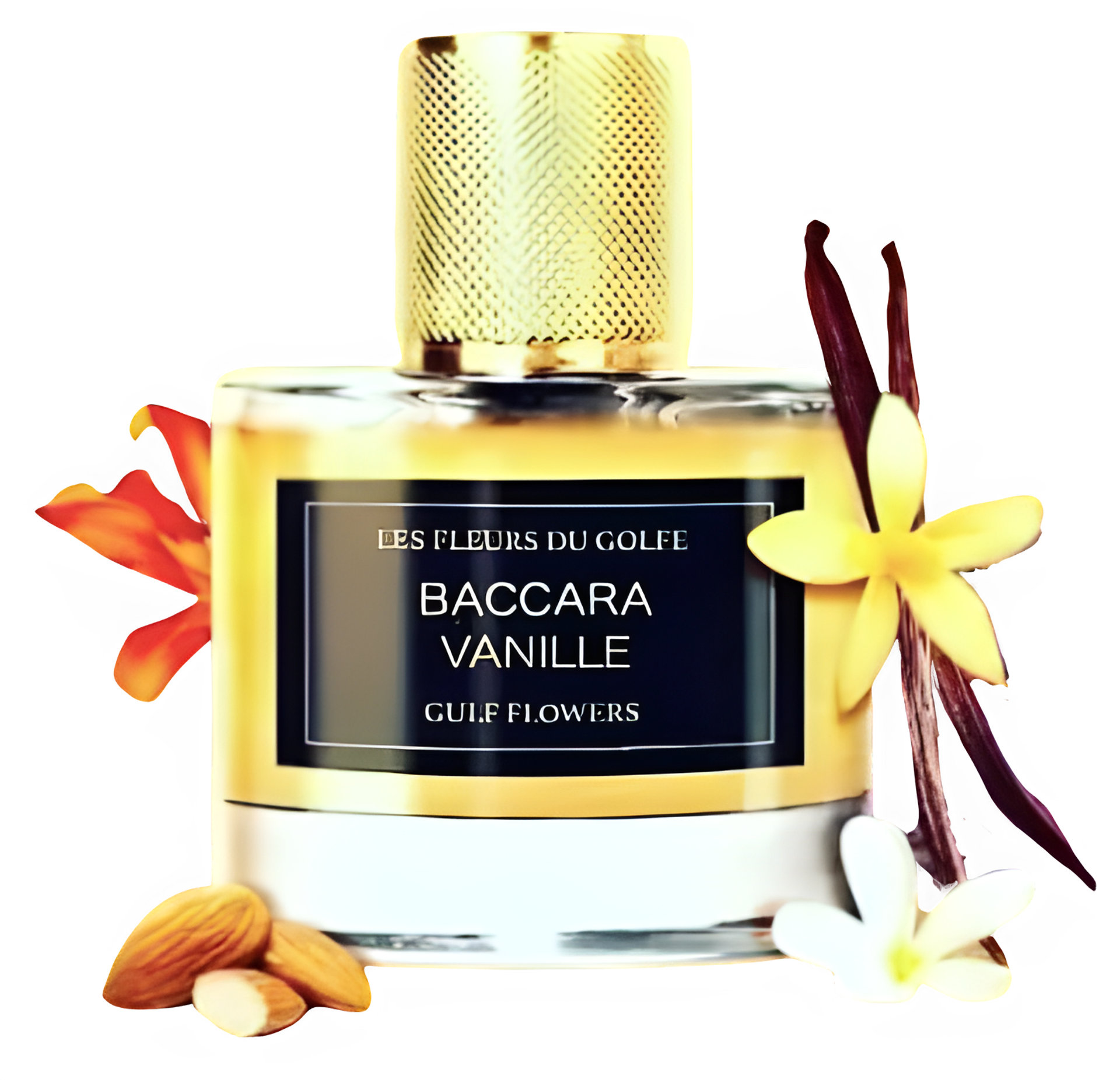 Picture of Baccara Vanille fragrance