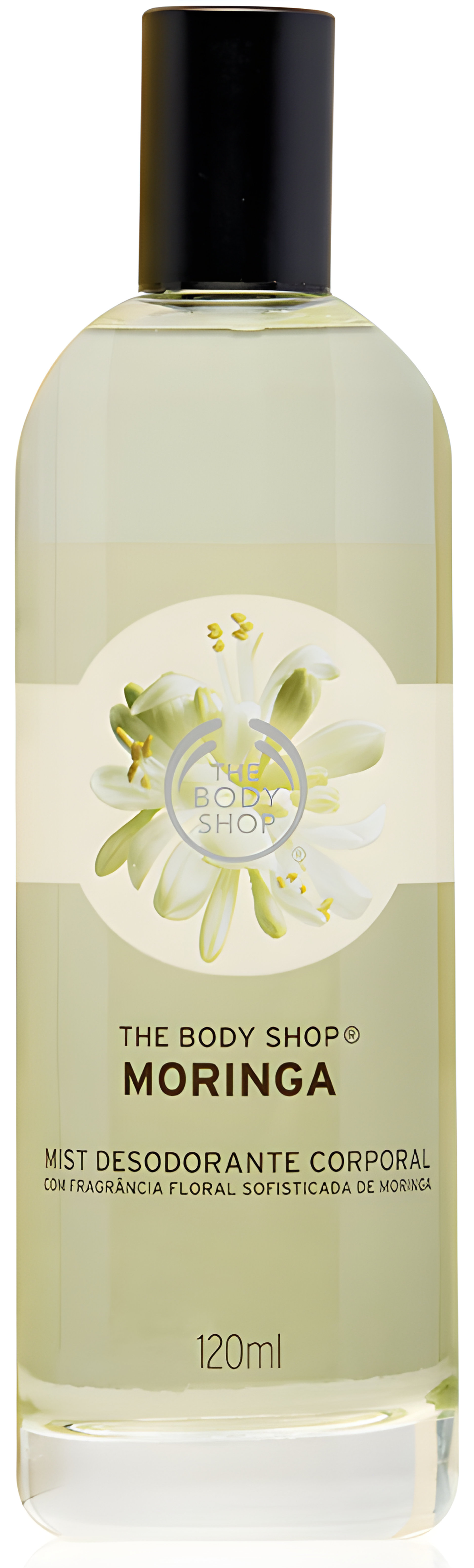 Picture of Moringa fragrance