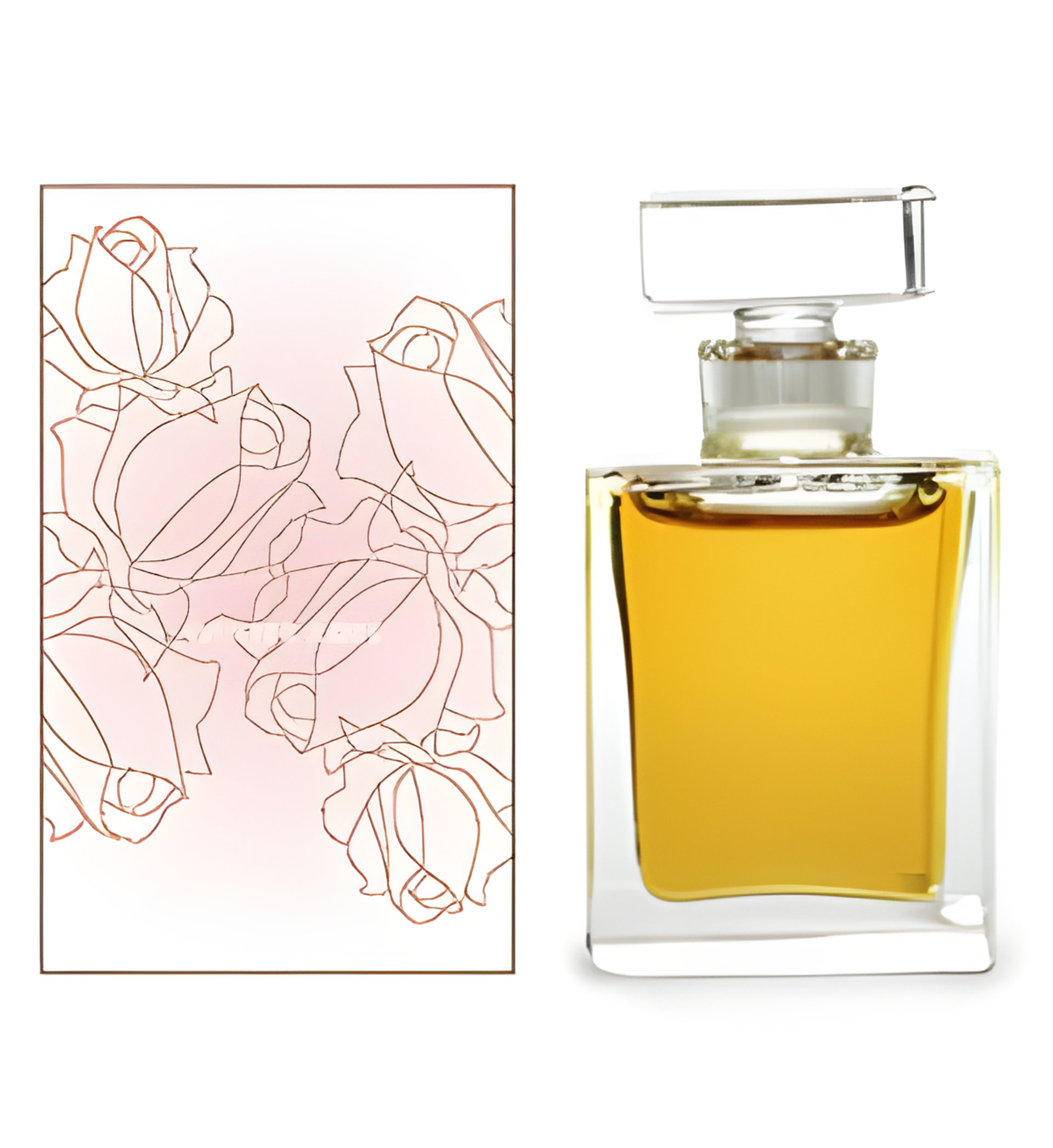 Picture of Winter Rose fragrance