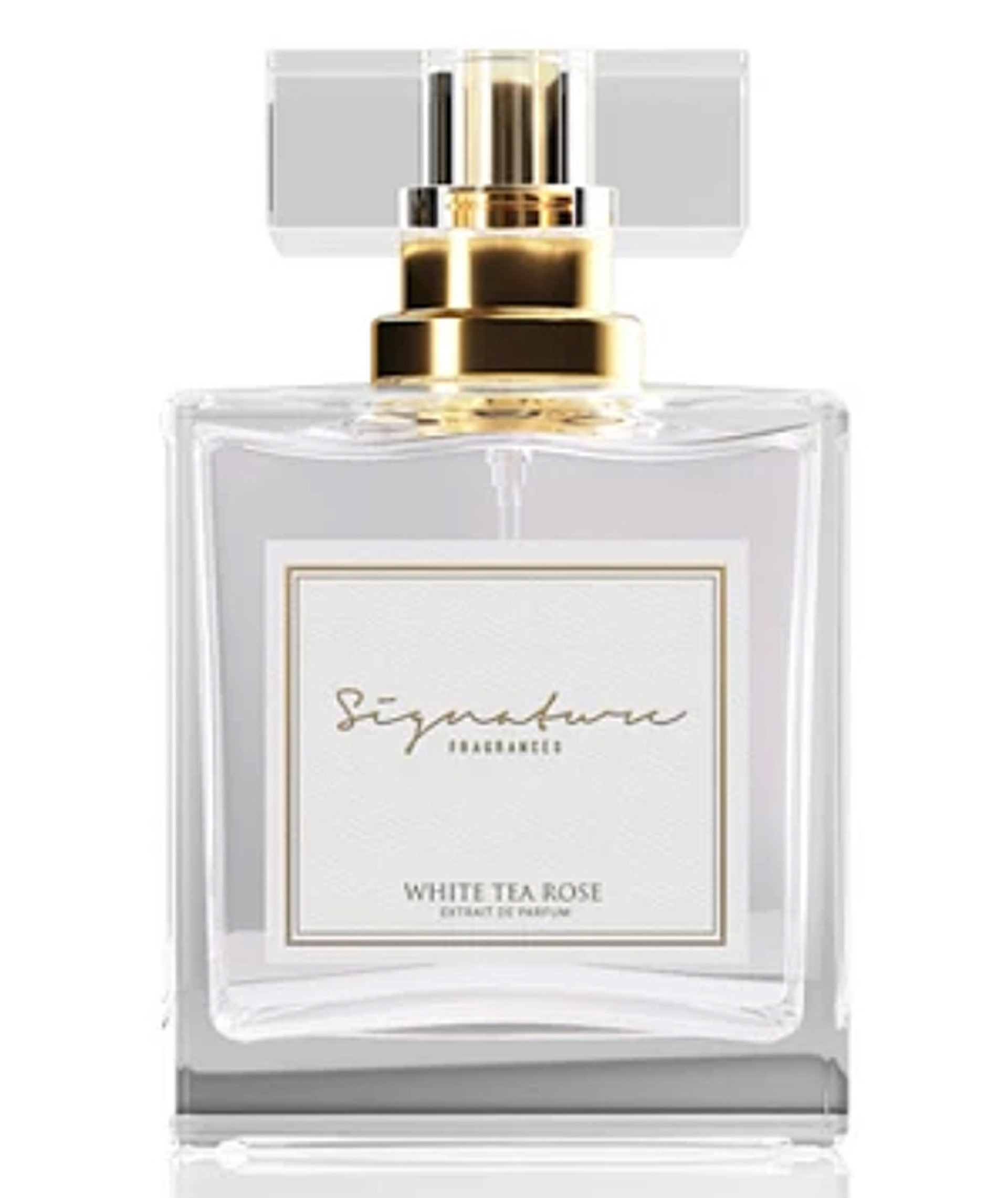 Picture of White Tea Rose fragrance