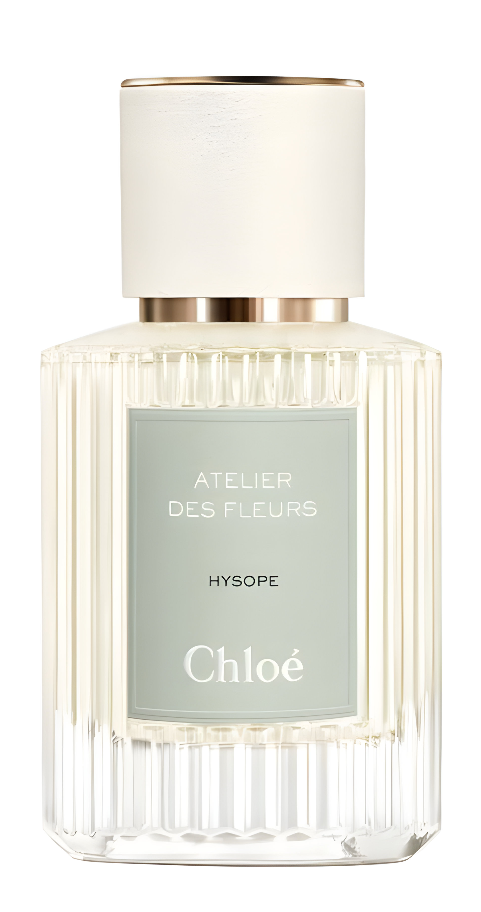 Picture of Hysope fragrance