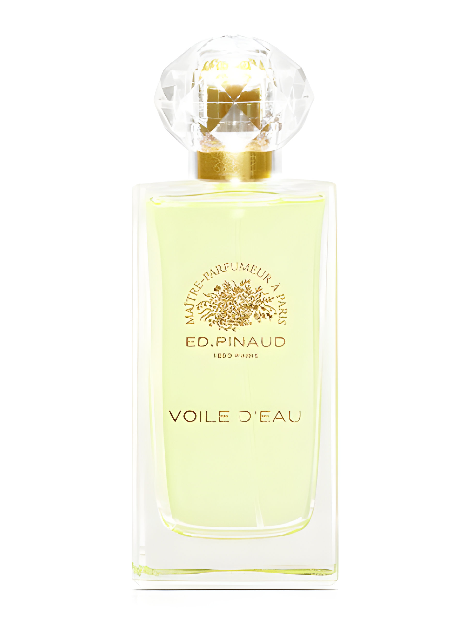 Picture of Voile d'Eau fragrance