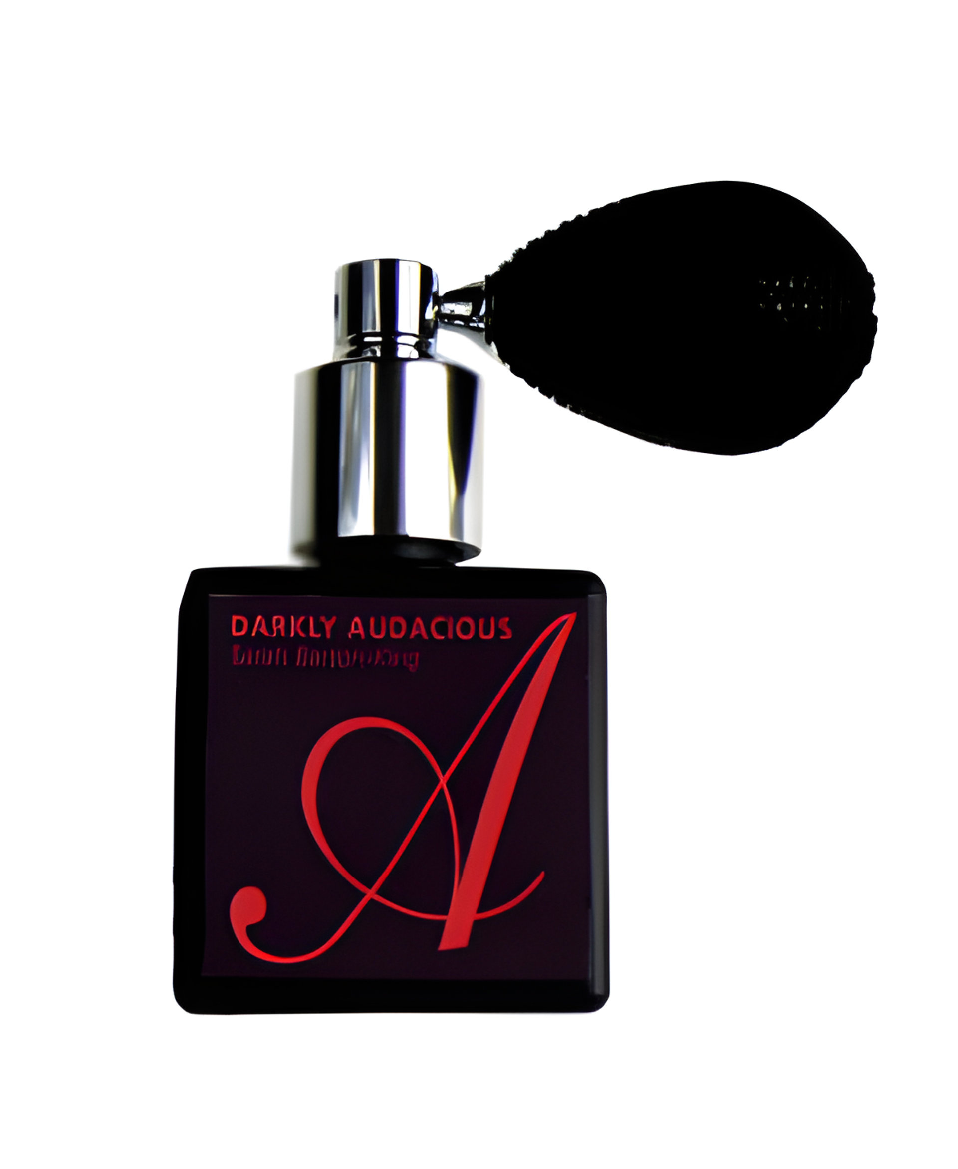 Picture of Darkly Audacious fragrance