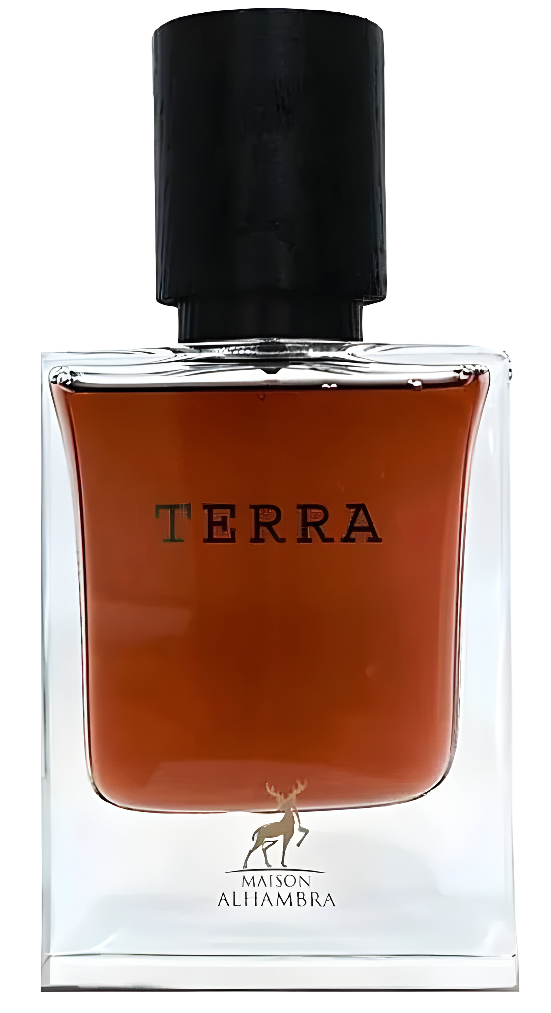 Picture of Terra fragrance