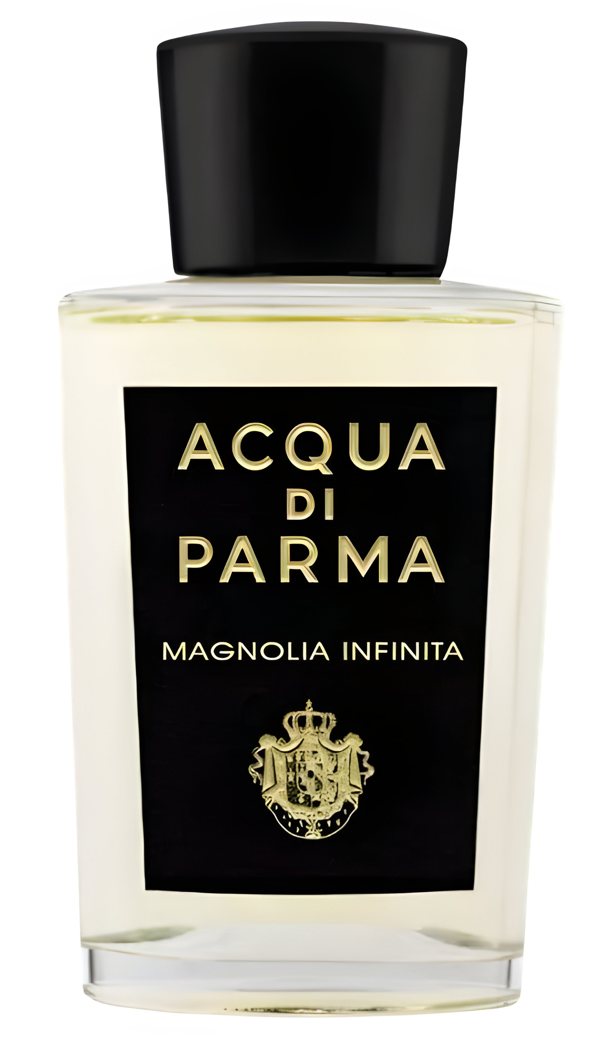 Picture of Magnolia Infinita fragrance